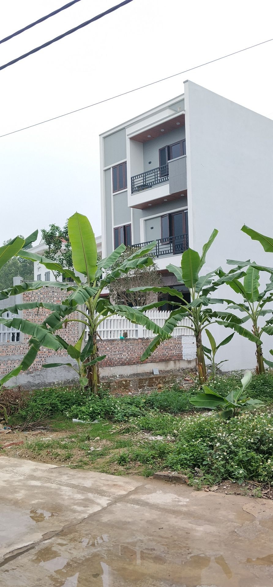 Đất vàng Đan Tảo Tân Minh, kết nối hai ô tô, sinh lời bền vững
