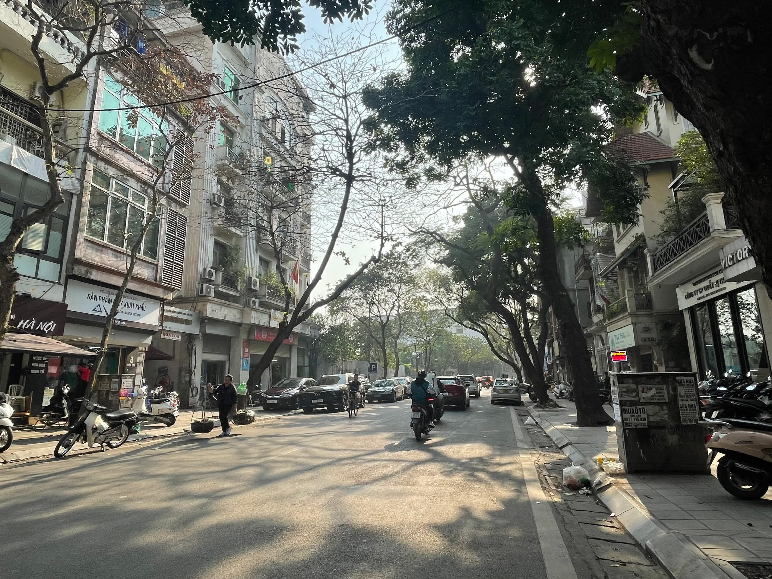 Văn phòng 8 tầng sang trọng tại trung tâm quận Hai Bà Trưng, vị trí đắc địa. 187m2, 170 tỷ.