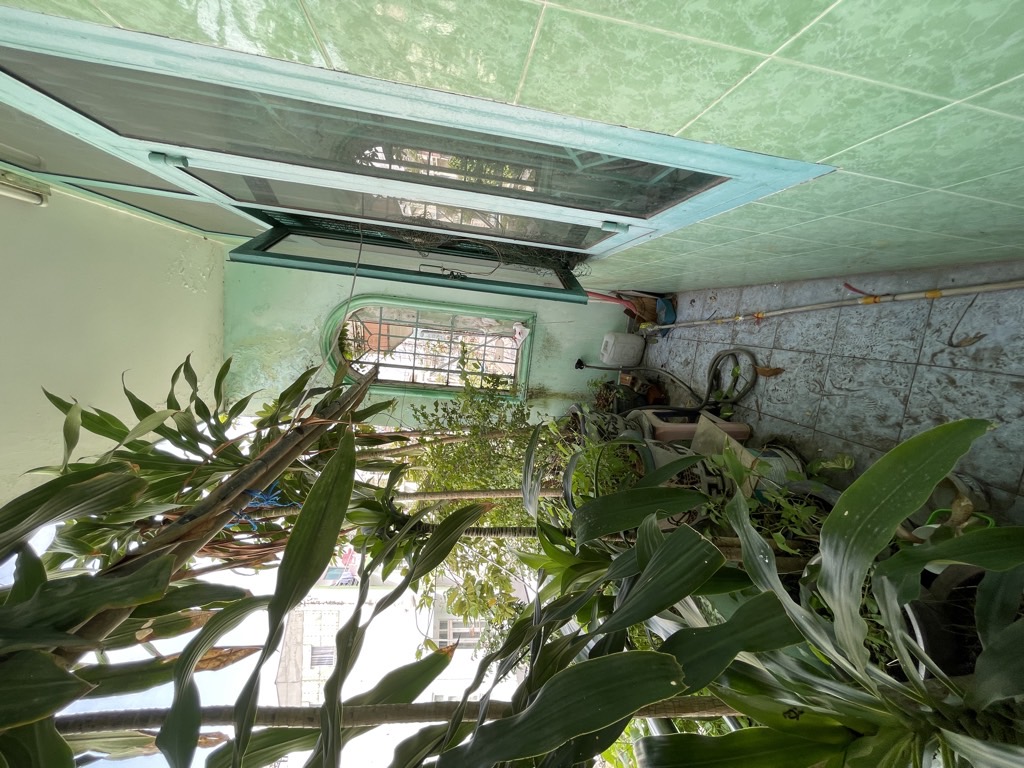 Bán nhà mặt phố 5 tầng 100m2 tại phường 6, Tân Bình, giá 28.2 tỷ VNĐ