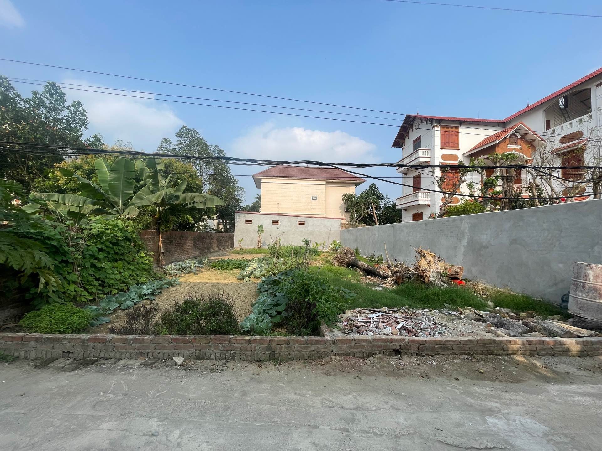Đất Vuông Vắn 100m² Tại Đan Tảo Sóc Sơn - Ngõ Rộng Ô Tô Vào Tận Nơi