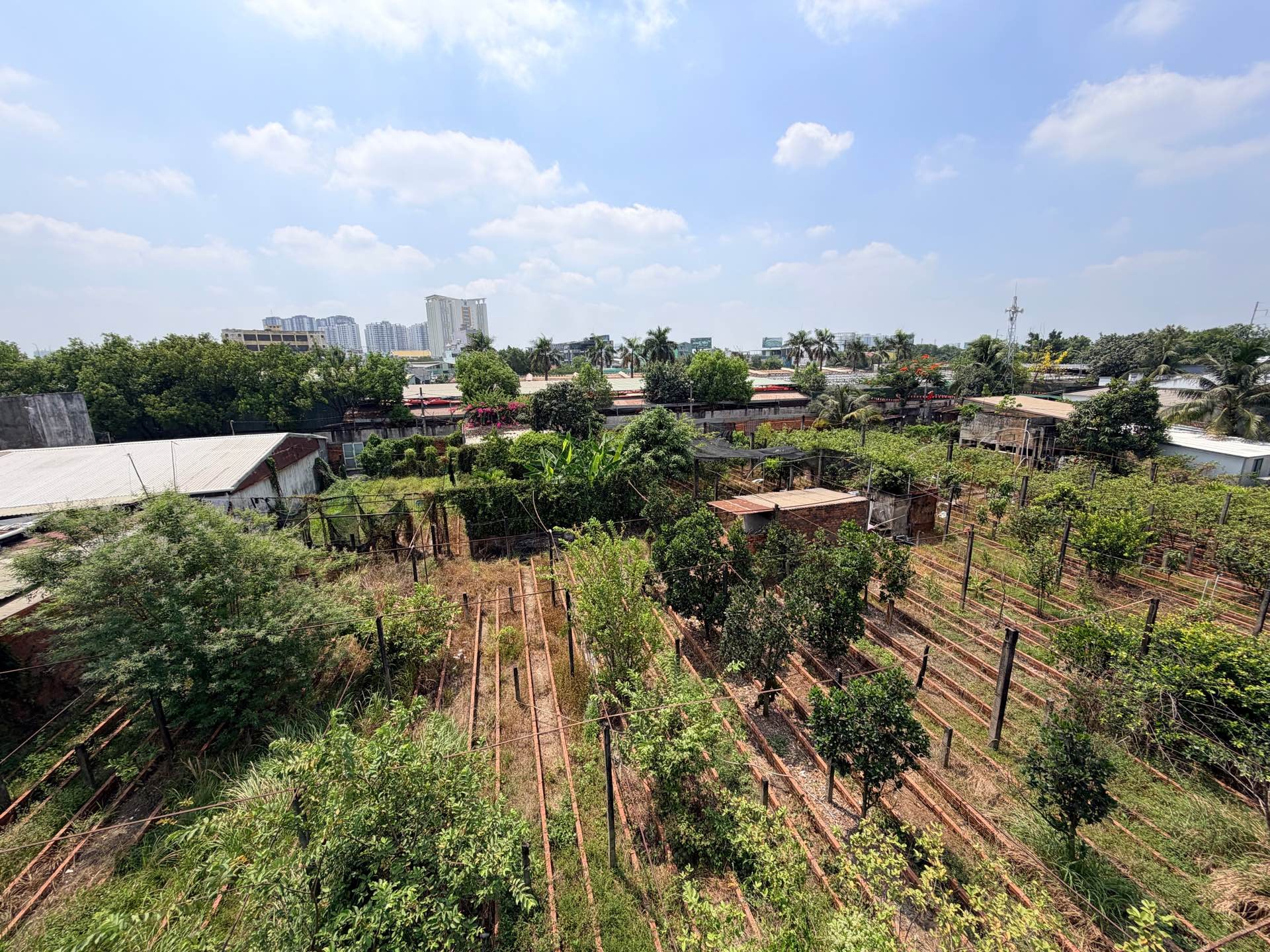 Nhà rộng 494m2 mặt tiền 8m, quận Bình Chánh, vị trí vàng tiện kinh doanh