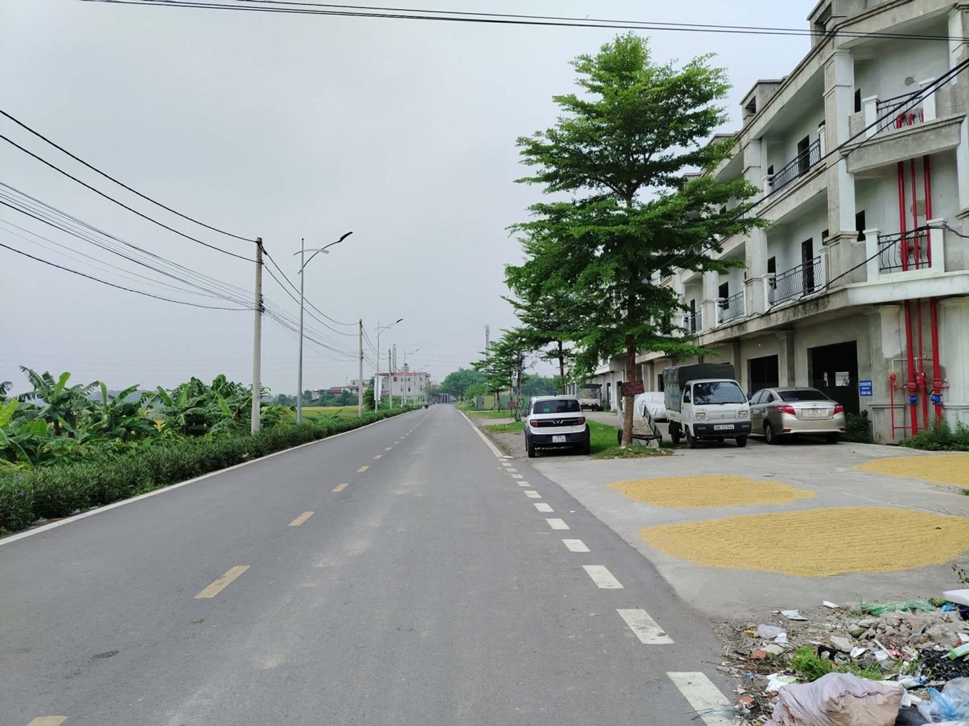 Đất Vàng Gần KCN Yên Phong - Cơ Hội Đầu Tư Sinh Lời