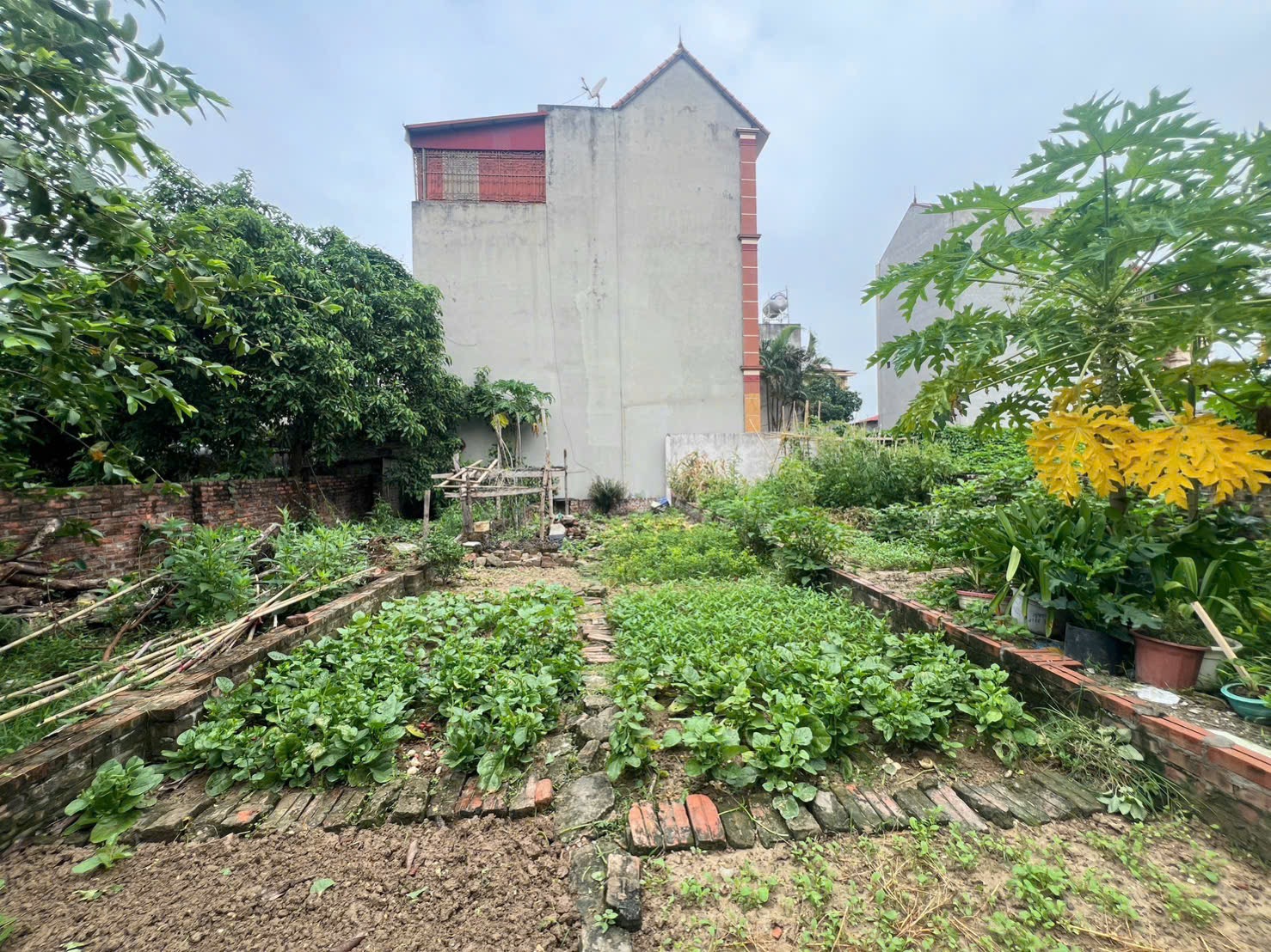 VIEW HỒ Ô TÔ VÀO ĐẤT 45m nhỉnh 3 tỷ
