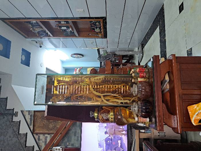 Nhà 4 tầng bán tại Phường 9, Quận Tân Bình, vị trí trung tâm, phù hợp vừa ở và văn phòng