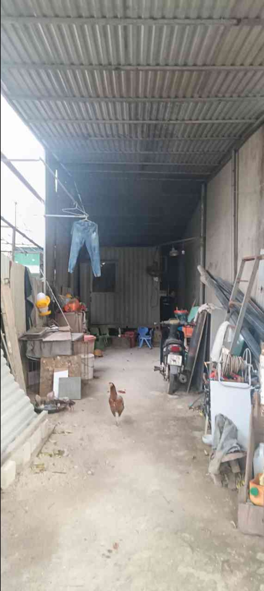 Đất xây dựng đẳng cấp tại Ỷ Lan với vị trí vàng và không gian thoáng đãng
