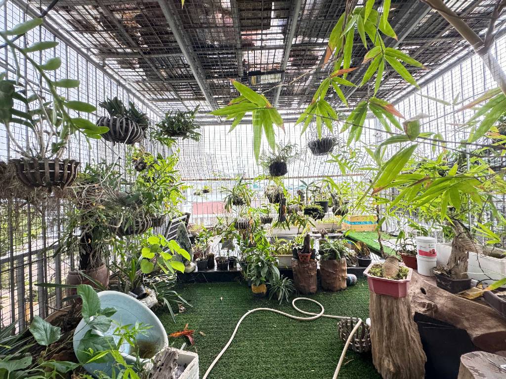 Siêu phẩm nhà mặt phố 2 mặt tiền Quang Trung Hà Đông Vỉa Hè Dá Bóng Kinh Doanh Đỉnh 172/185m2