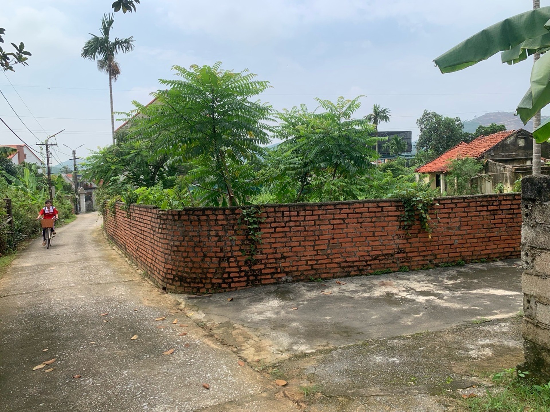 Bán đất ô góc 254,9m² tại xã Việt Hưng, pháp lý rõ ràng, giá 2,55 tỷ