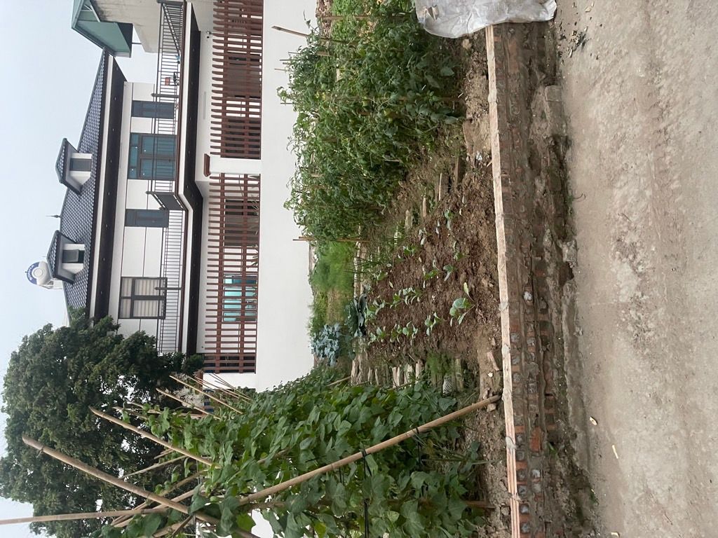 Đất đẹp ô tô đỗ cửa, ngõ rộng thông thoáng ở Tam Á, Thuận Thành