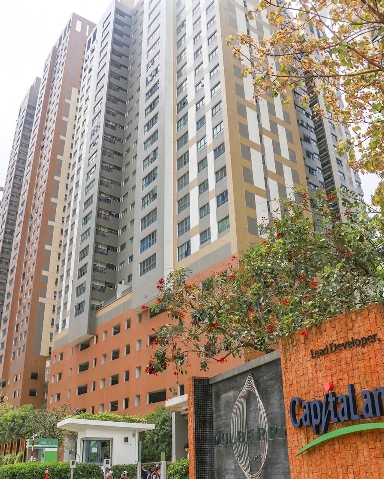 Căn hộ sang trọng Mulberry Lane Hà Đông giá mềm
