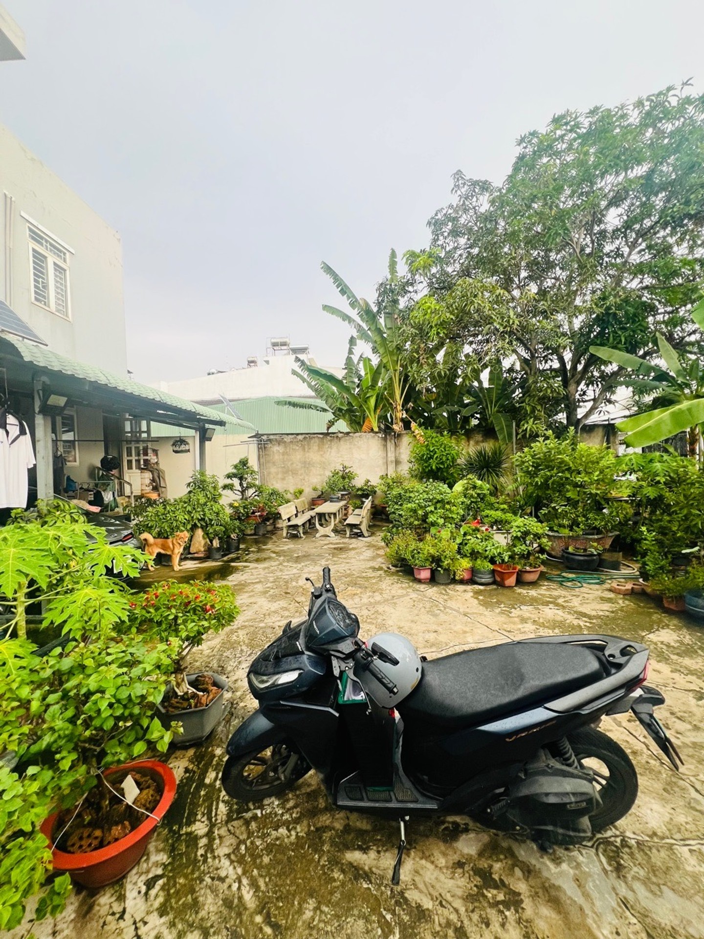 9x13 ngay vòng xoay an lạc
Ngân hàng hỗ trợ fulll
Giá bán 5 tỷ 850