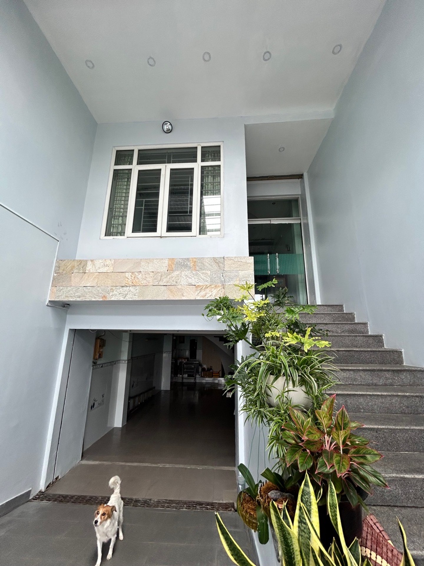 MT KINH DOANH CỔNG SÂN BAY TÂN SƠN NHẤT SIÊU HIẾM