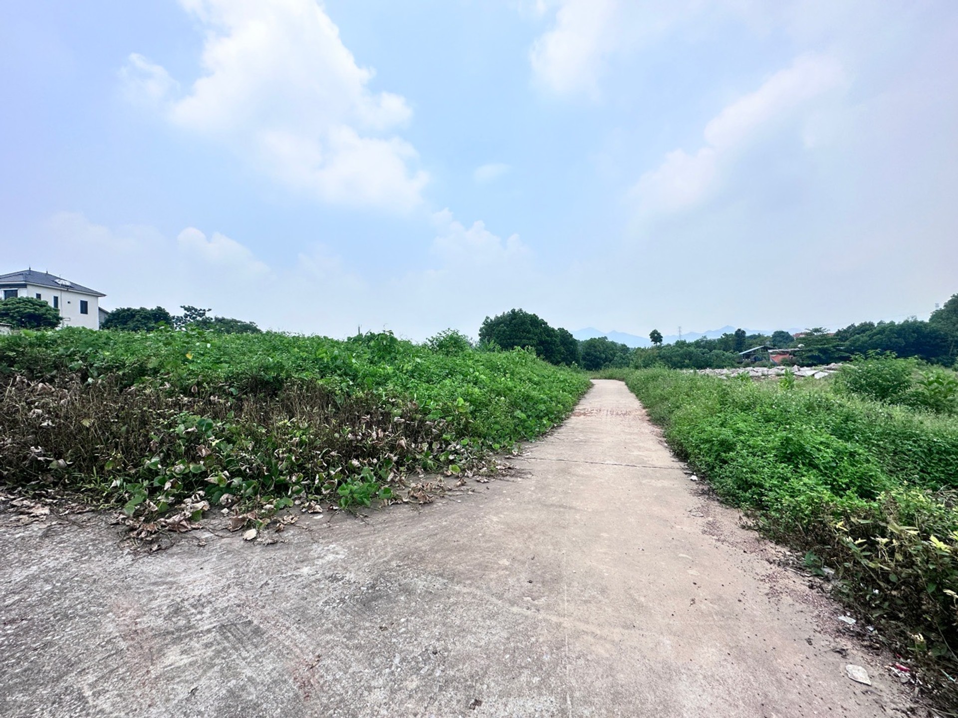 Bán đất phân lô xã Trung Giã, Sóc Sơn, ô tô lưu thông, giá đầu tư