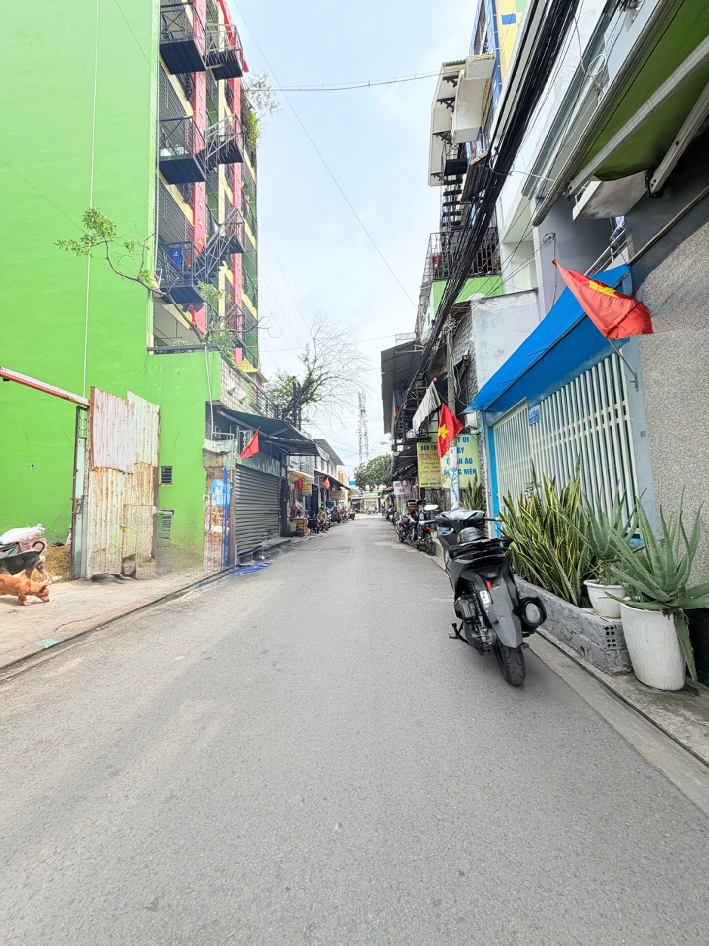 Hiện trạng là đất trống tiện mua xây mới, khu vực được xây 6-7 tấm, các nhà kế bên là CHDV 6 tầng h
