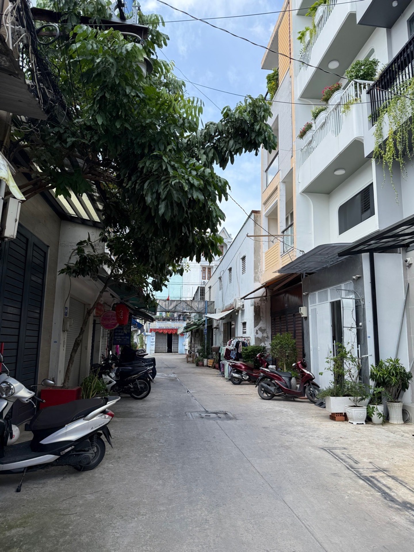 Bán nhà cấp 4 hẻm nhựa 6m phường Tân Sơn, Tân Bình