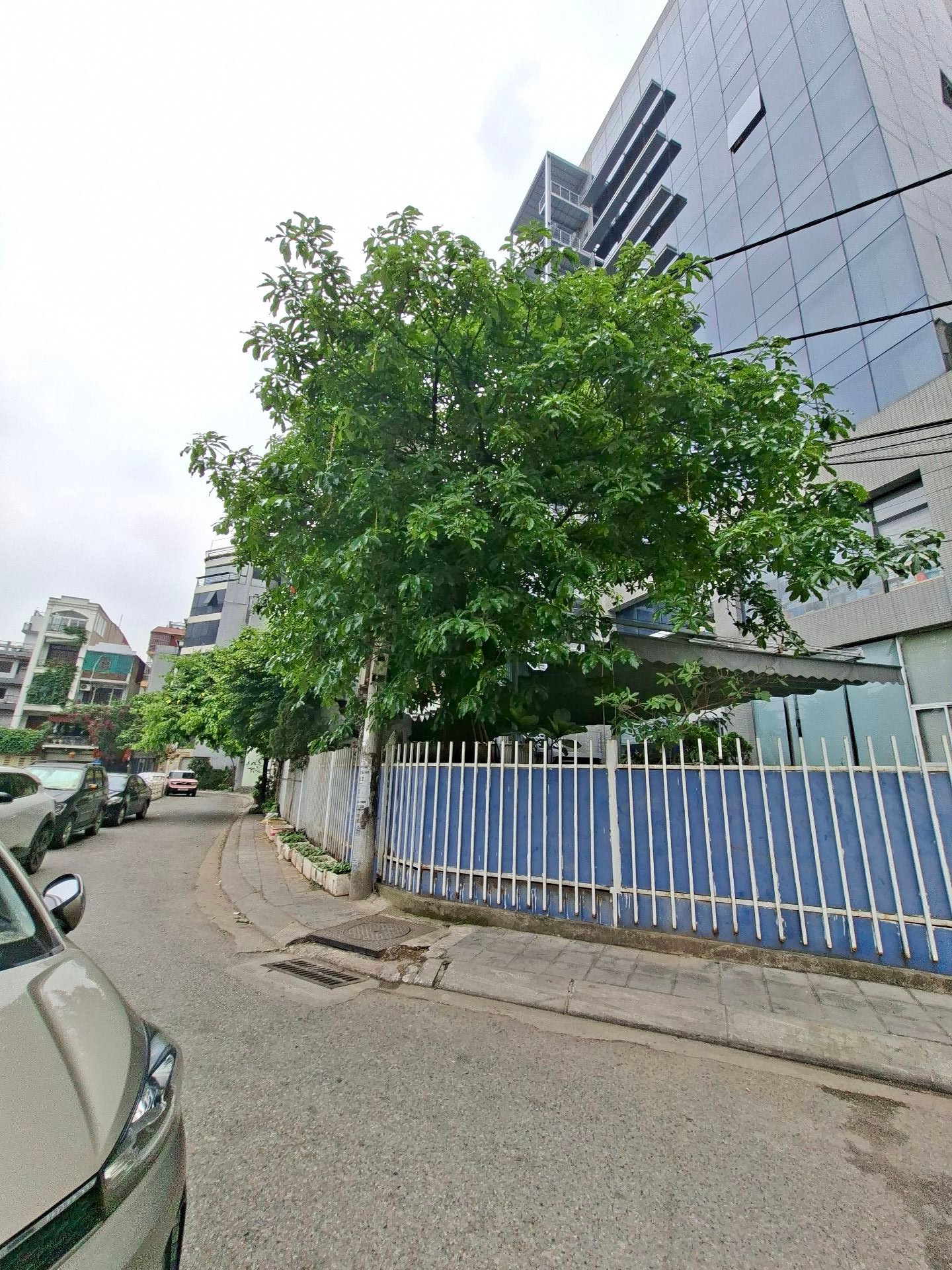 Tòa Nhà Văn Phòng Hạng Sang Tại Trung Tâm Lõi Long Biên