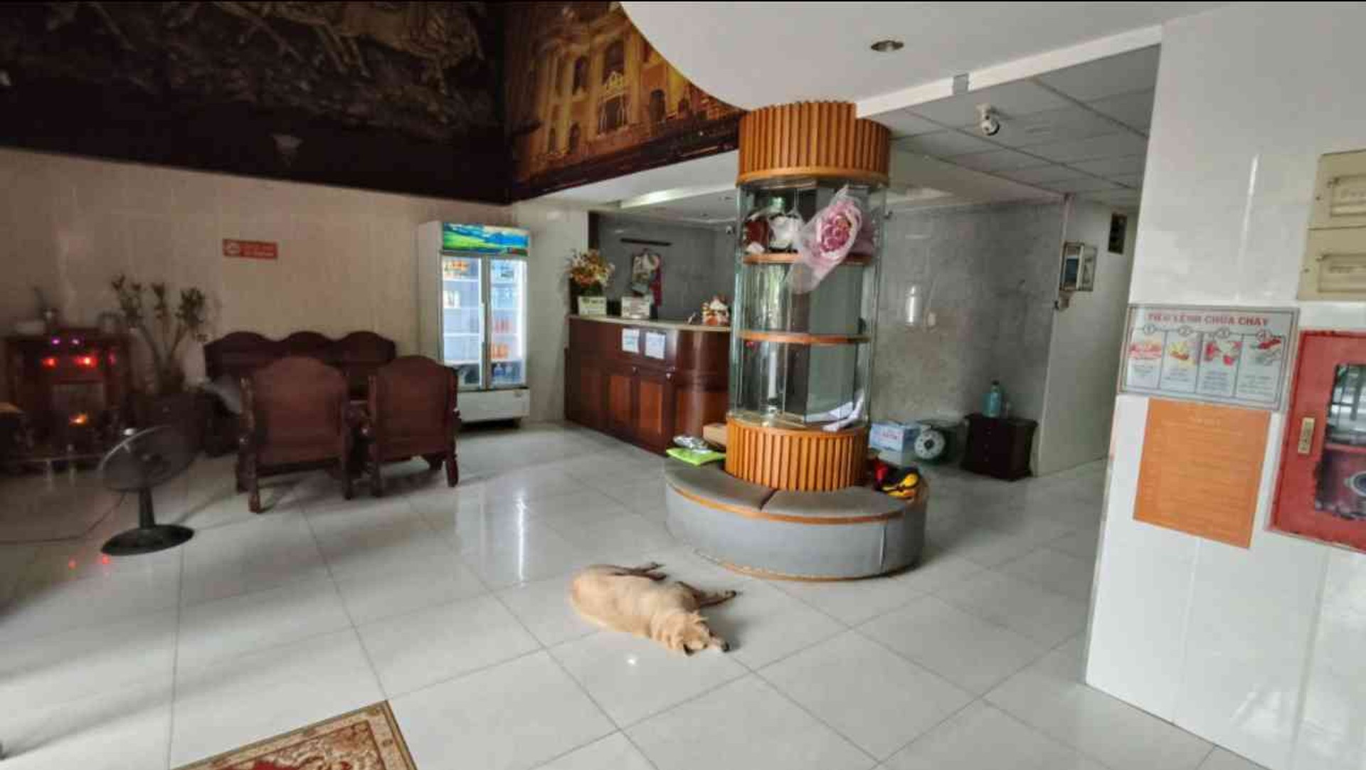 Nhà 6 tầng siêu rộng gần Vạn Hạnh Mall, Quận 10