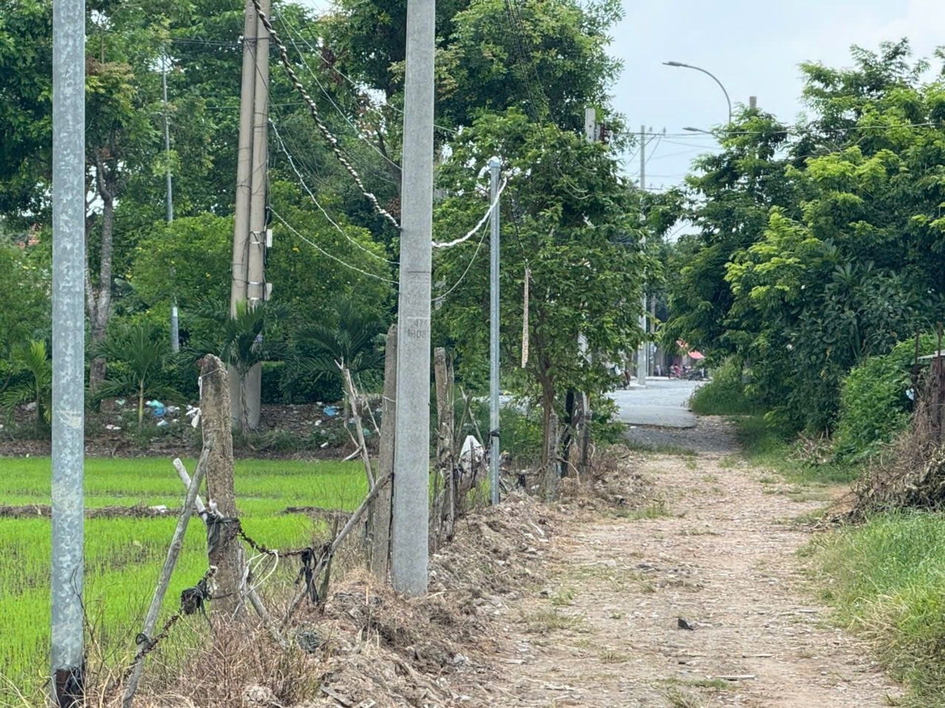 Nhà mặt phố giá tuyệt đẹp, diện tích rộng rãi ngay trung tâm