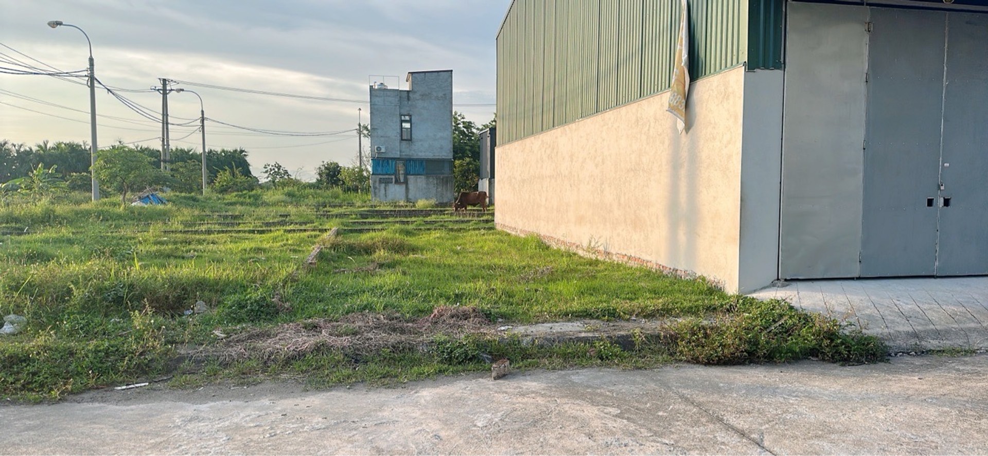 Bán đất thổ cư 80m2 mặt tiền 5.3m tại Nguyên Khê, pháp lý cơ sở, giá tốt