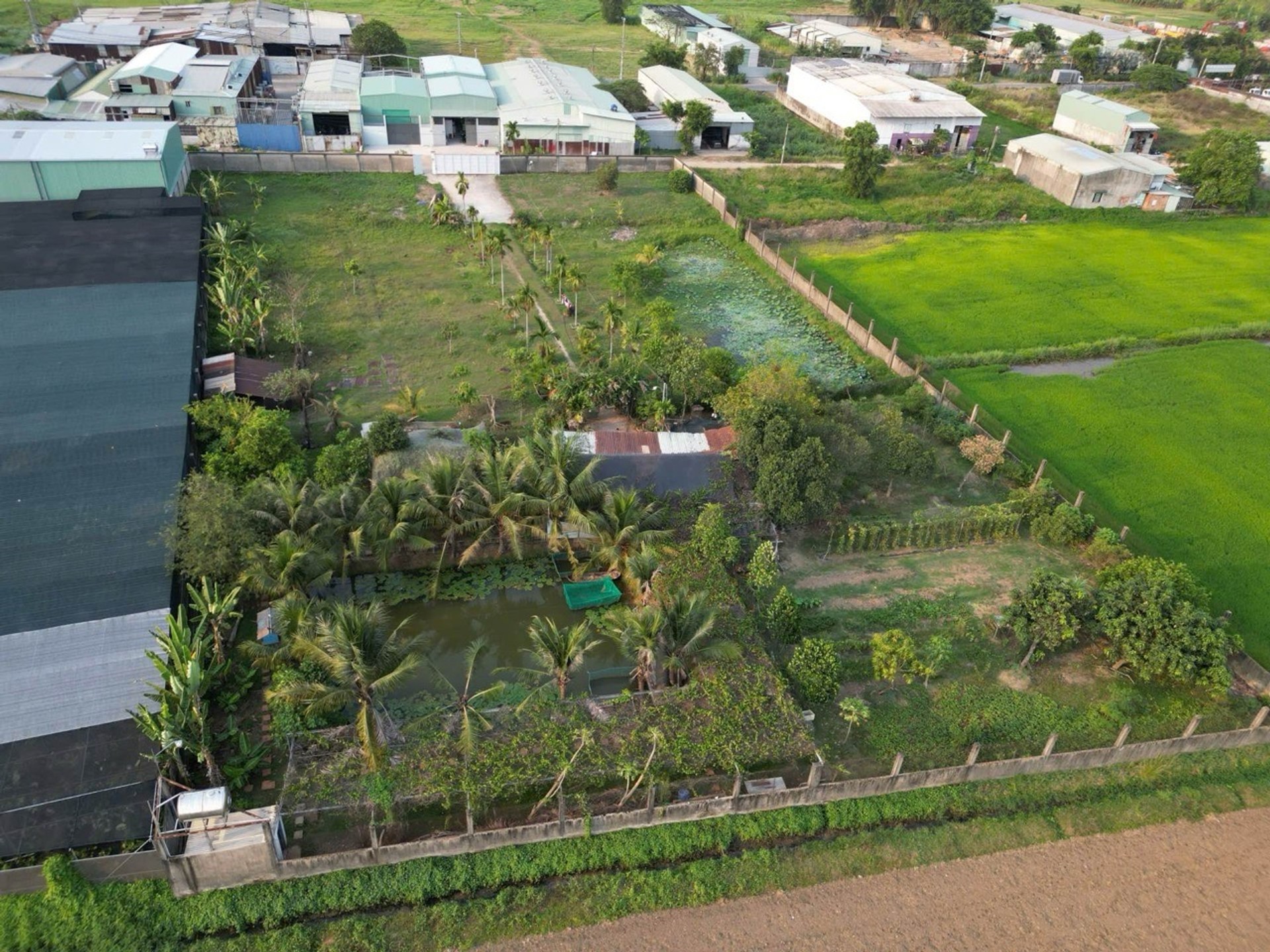 Bán đất hơn 6300m2 có thổ cư tại Xuân Thới Sơn, giá 54 tỷ