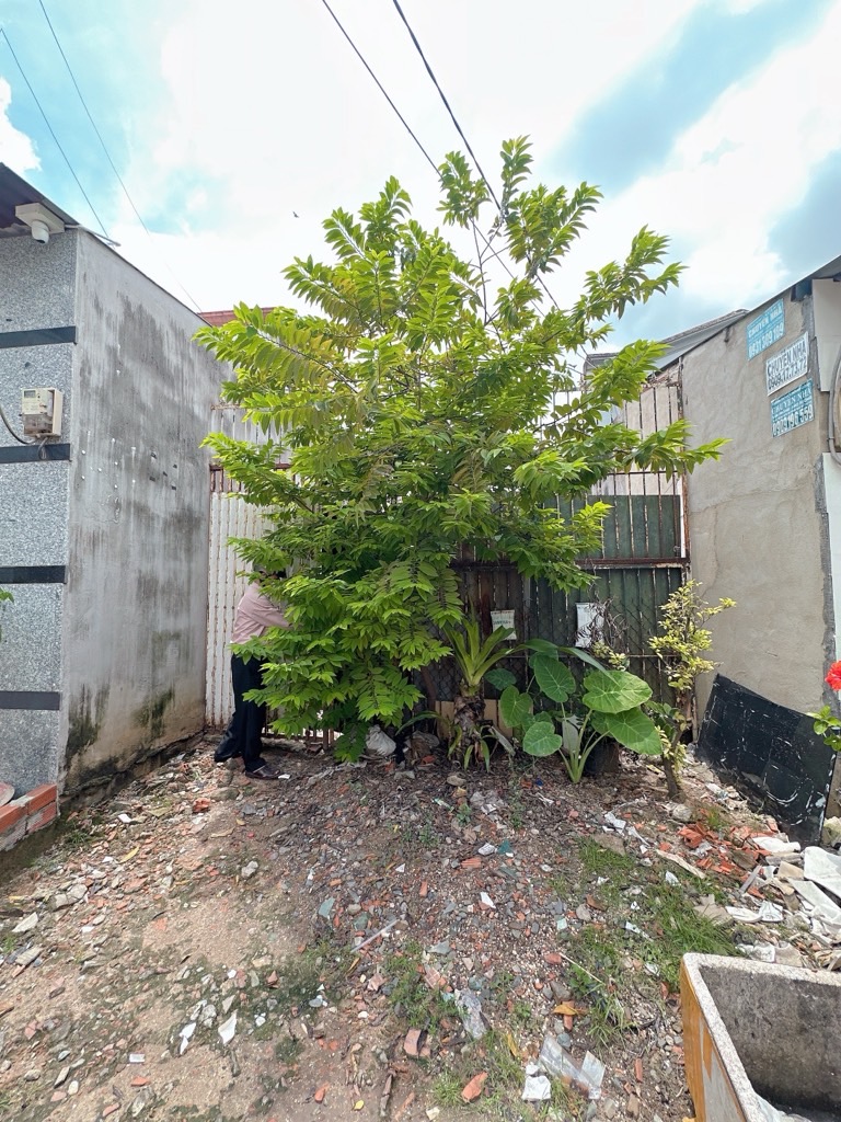 Đất trống 112.6m² ngay trường THPT Bình Hưng Hòa, phường Bình Hưng Hòa, Bình Tân, chỉ 3 tỷ