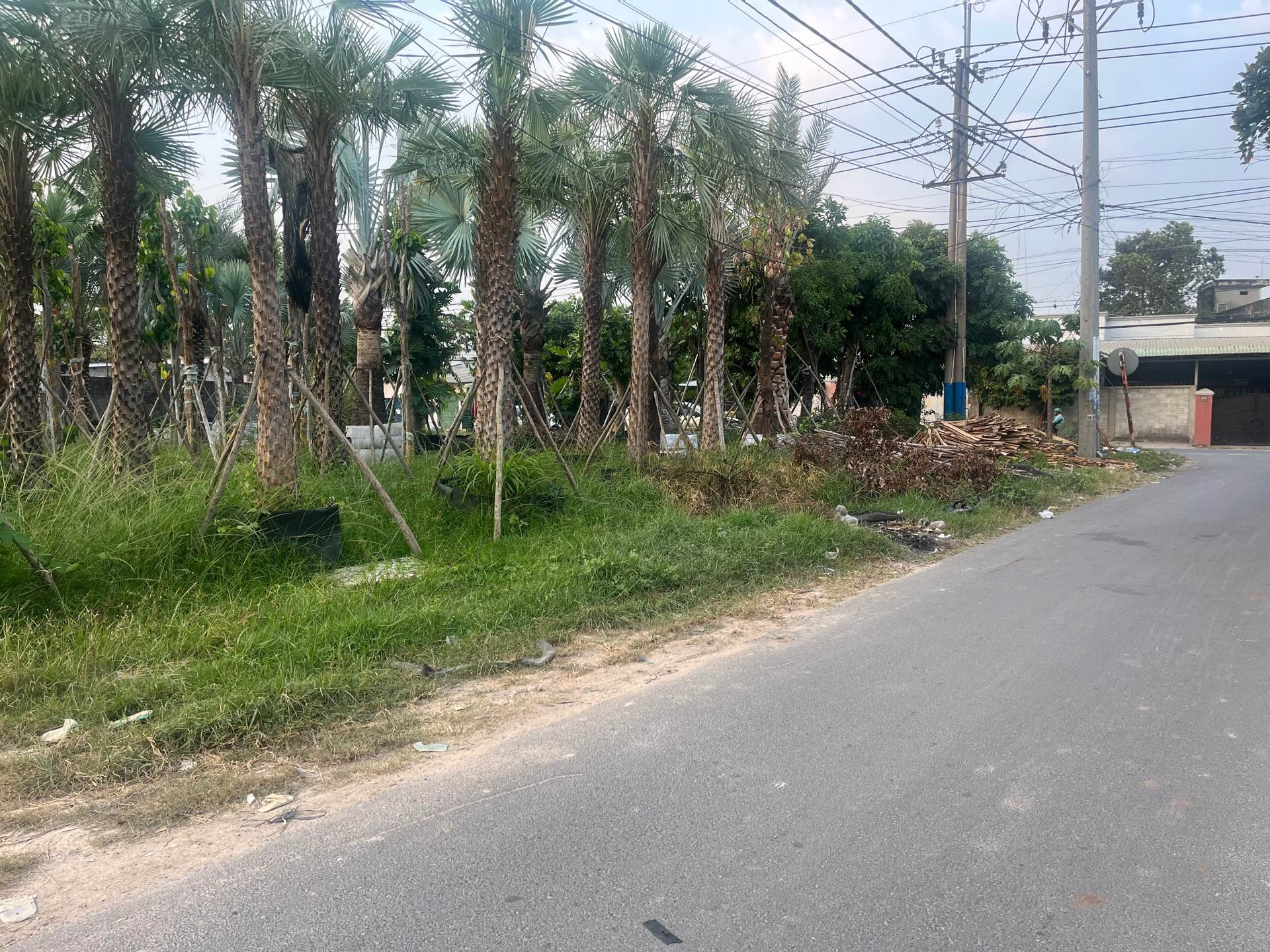 Đất ngày góc mặt tiền Tỉnh Lộ 2 - vị trí vàng cho nhà đầu tư