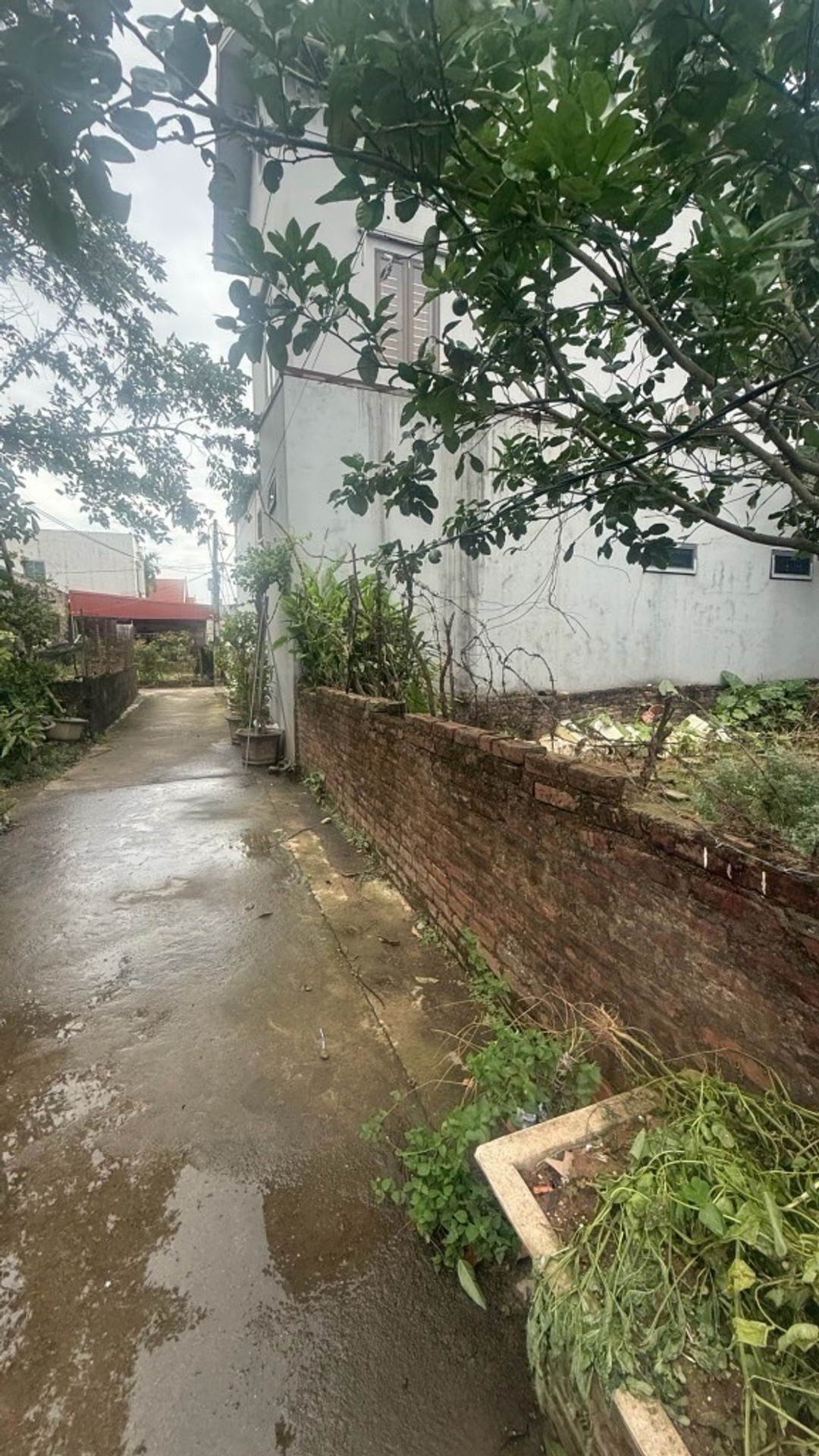 Đất đẹp trung tâm Văn Giang hàng xóm sân vận động PVF và Ecopark chỉ hơn 2 tỉ