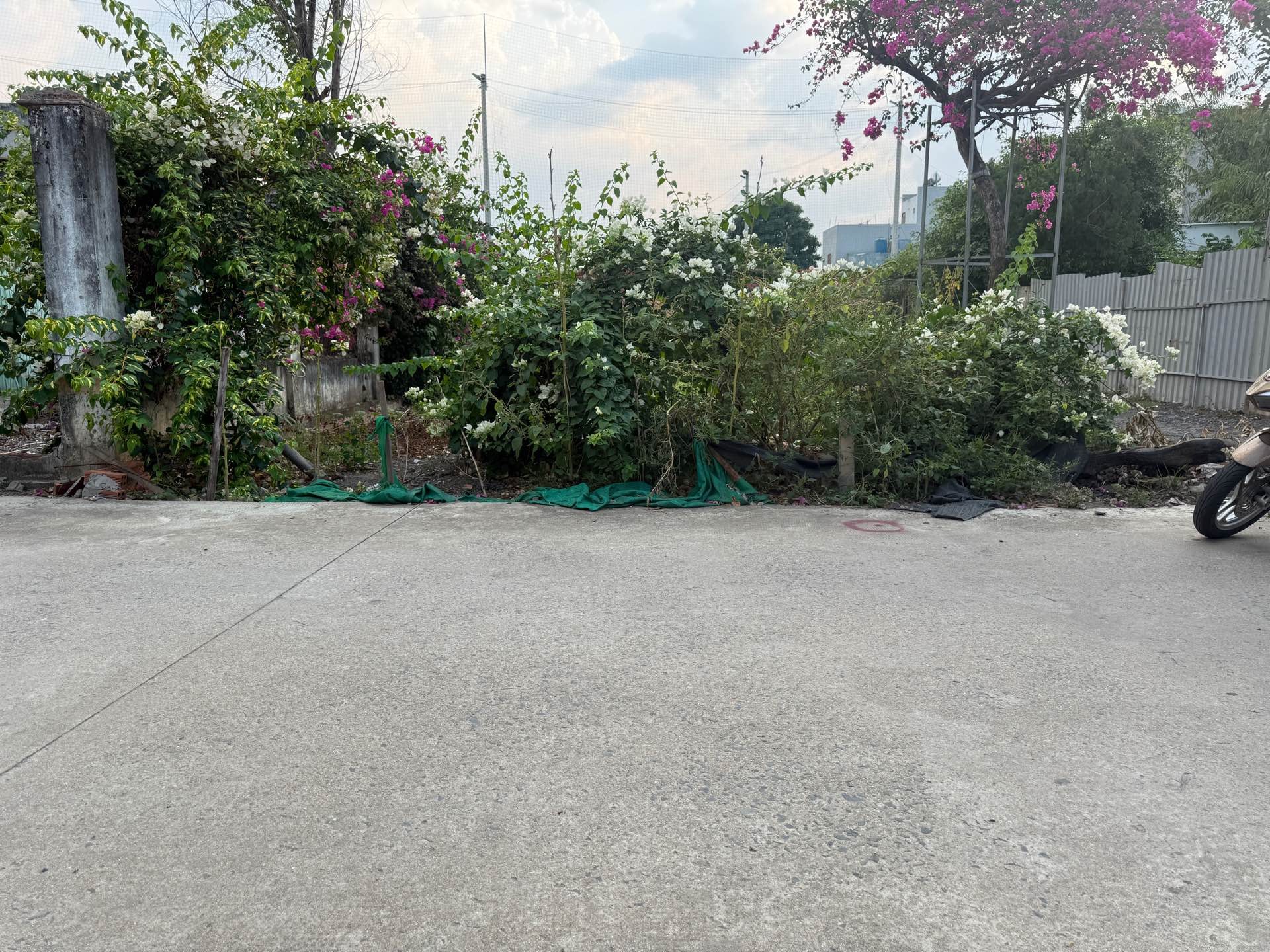 Bán đất tại phường Tân Đông Hiệp diện tích 148.8m² hướng Đông Bắc, giá 3.95 tỷ đồng