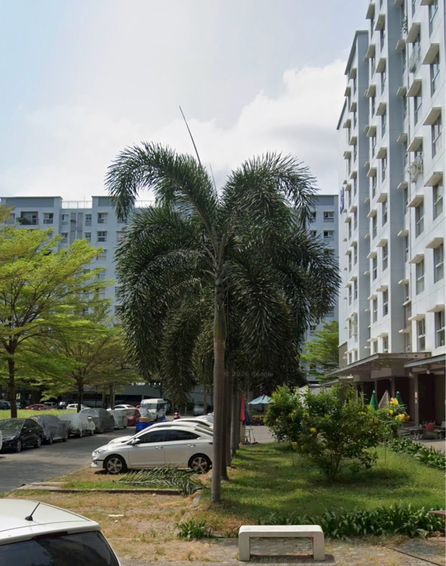 Shophouse mặt tiền chung cư Ehome3 Khu dân cư Nam Long, đường Hồ Ngọc Lãm sát Võ Văn Kiệt, An Lạc -