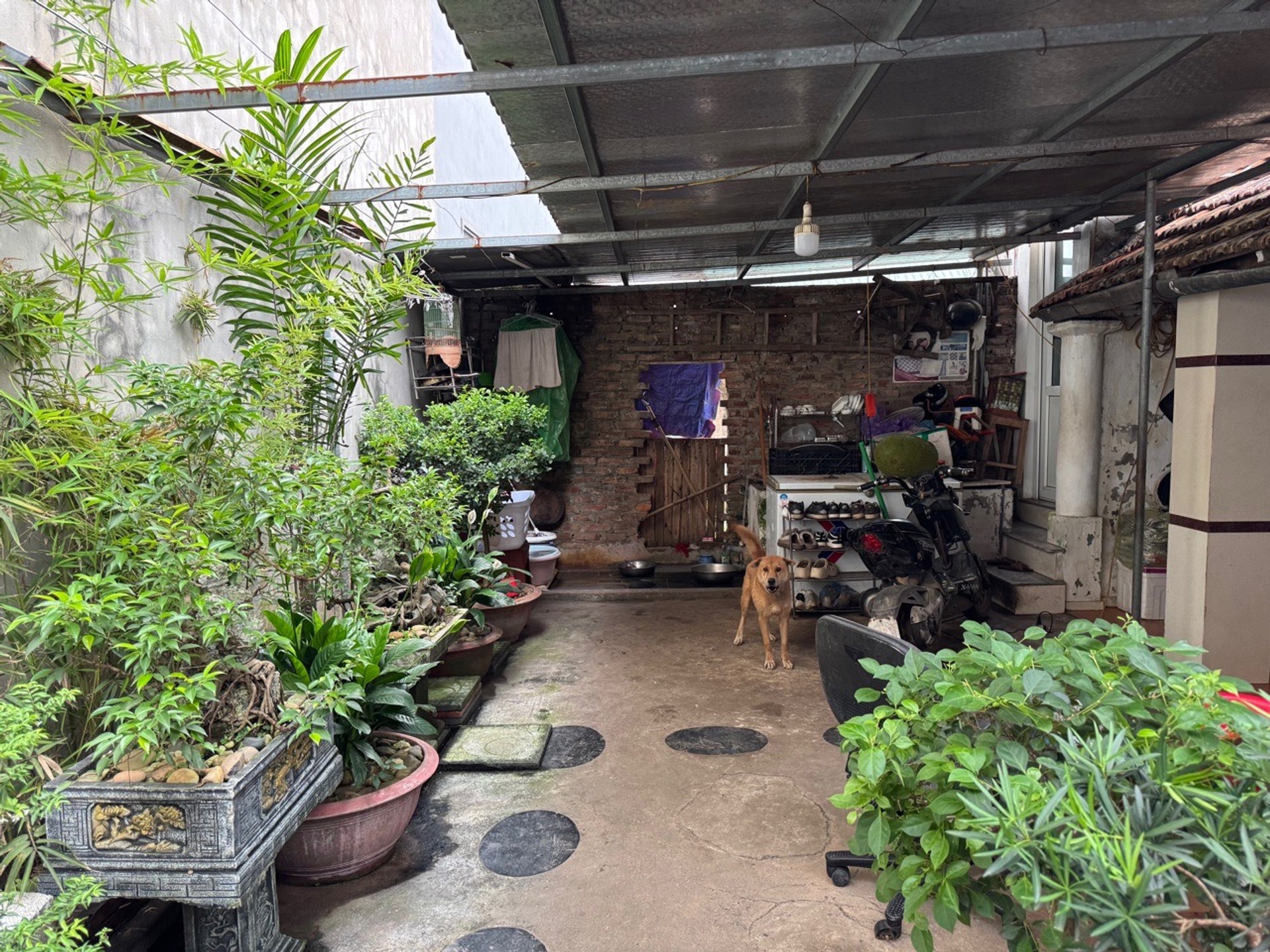 Bán đất tặng nhà ngay ĐH Công Nghiệp, Dt 82,6m2, Mt lớn, phù hợp xây Ccmn, hoặc ở rộng cực sướng.