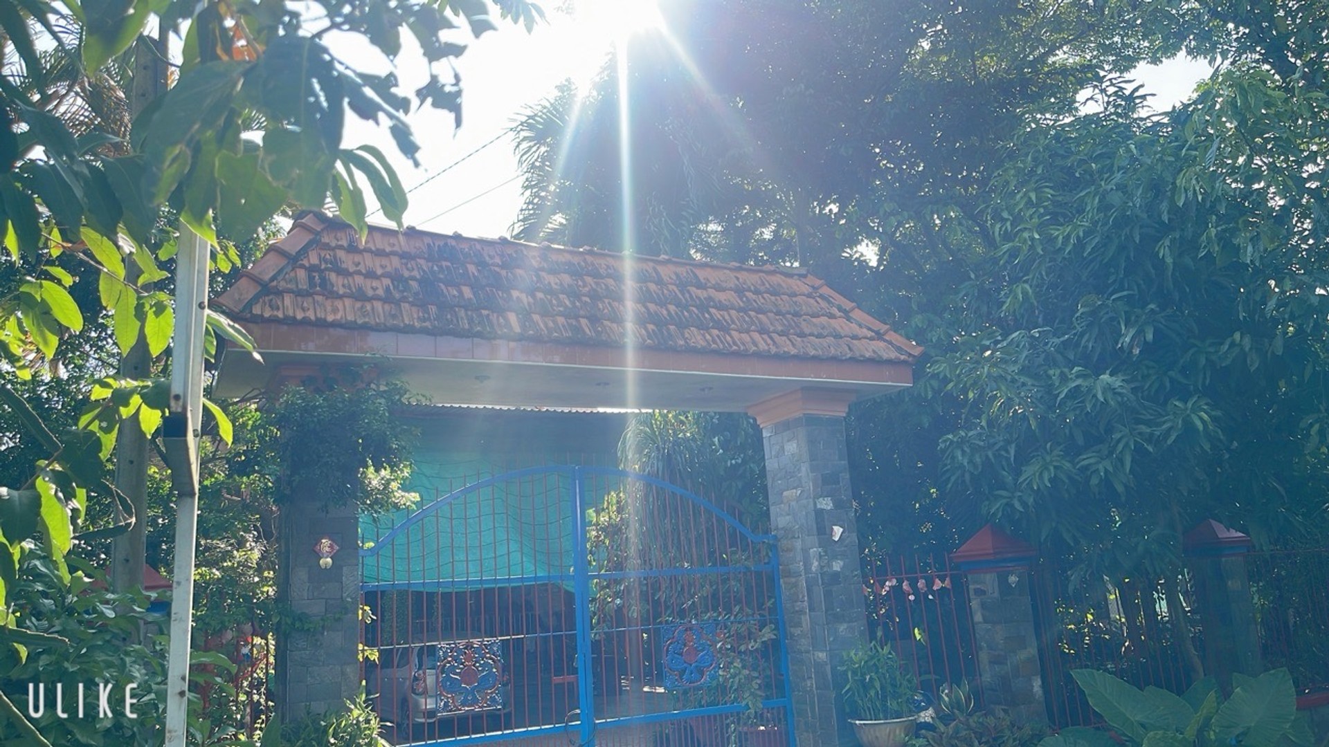 Đất nở hậu siêu đẹp tại Thái Mỹ, Củ Chi, giá sốc