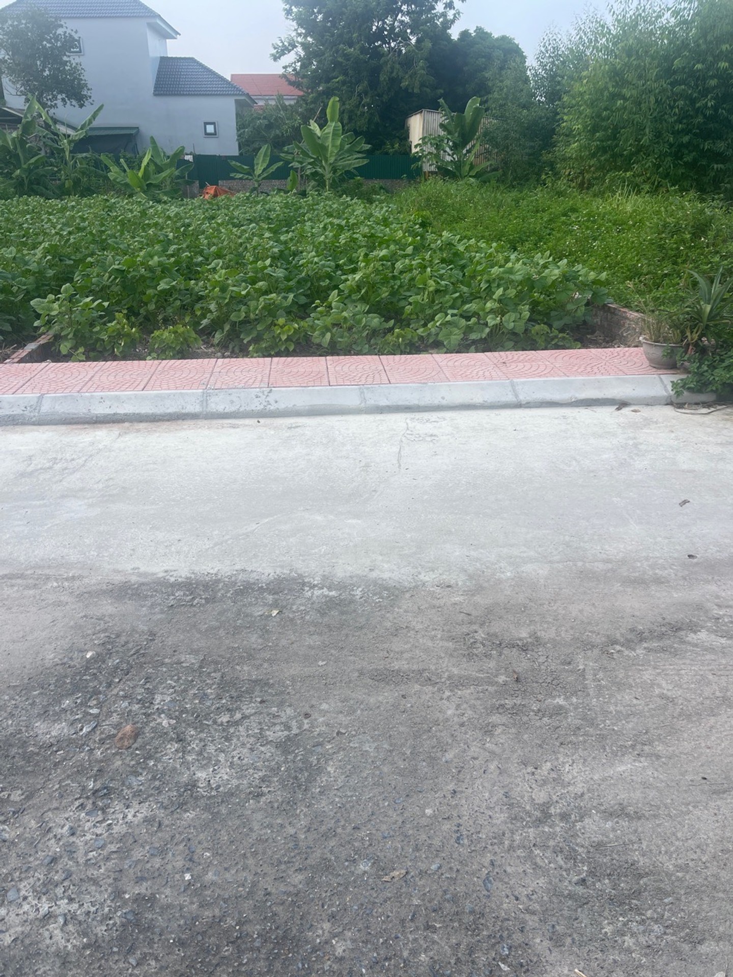 Lô đất vàng 100m2 tại Lập Trí - Kim Anh giá tốt