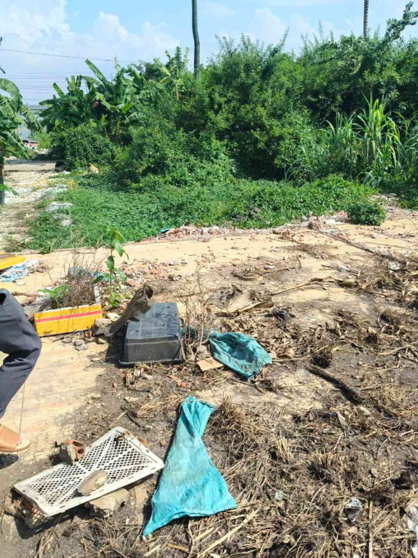 Bán đất 96.8m2 mặt tiền 5m hướng Đông Bắc, quận 12