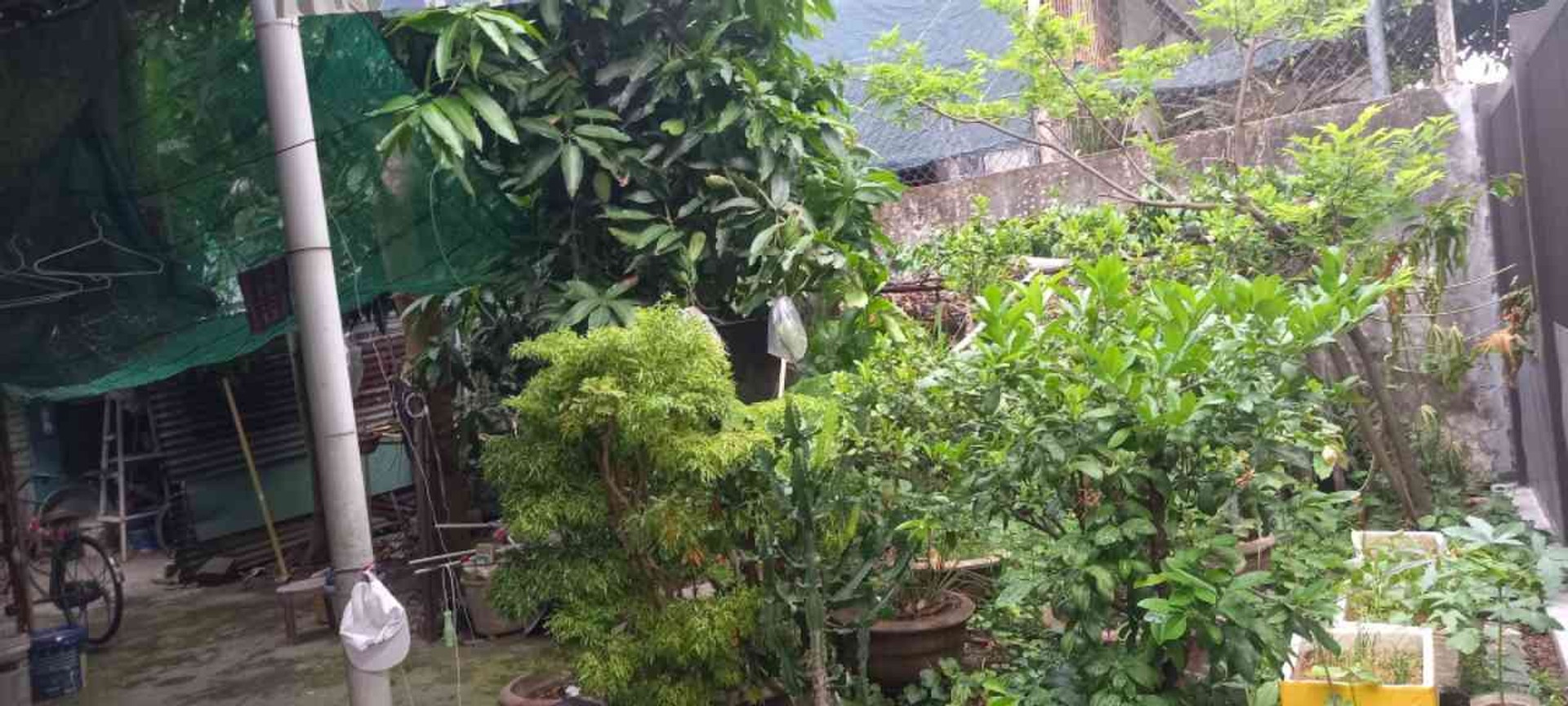Bán đất mặt tiền 5m Nguyễn Văn Thoại, quận Sơn Trà, diện tích 89,3m² pháp lý cơ sở