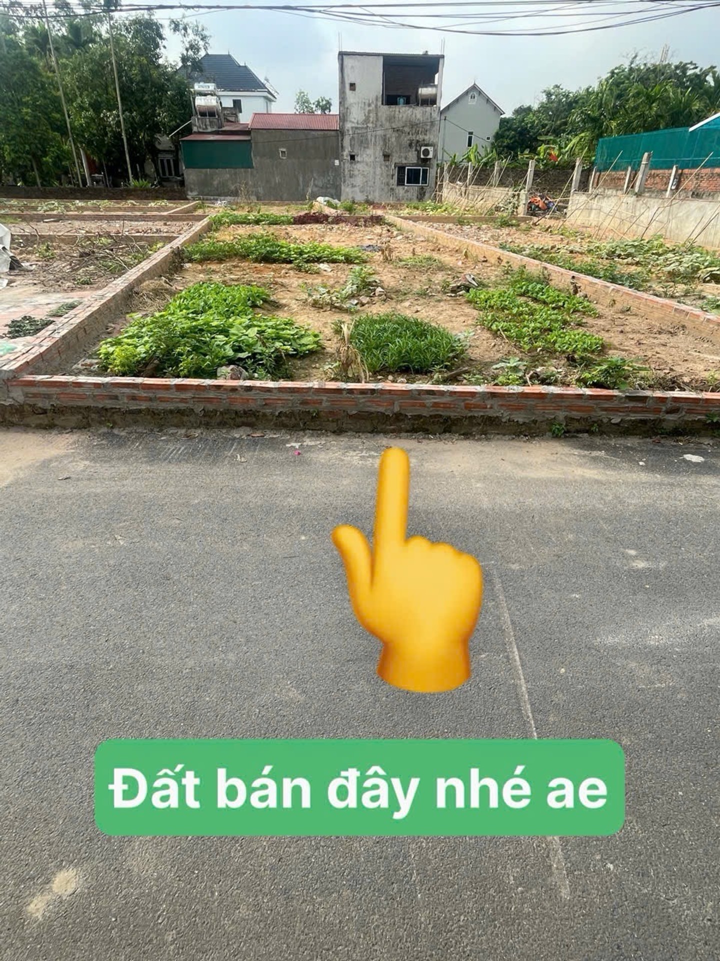 Cơ hội hiếm có sở hữu lô đất vàng tại Ninh Cầm Kim Anh