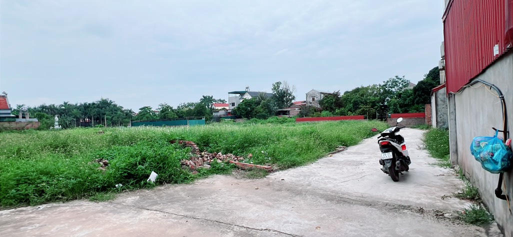 Đất Vàng Đường Thông Ô Tô - Đầy Đủ Tiện Ích