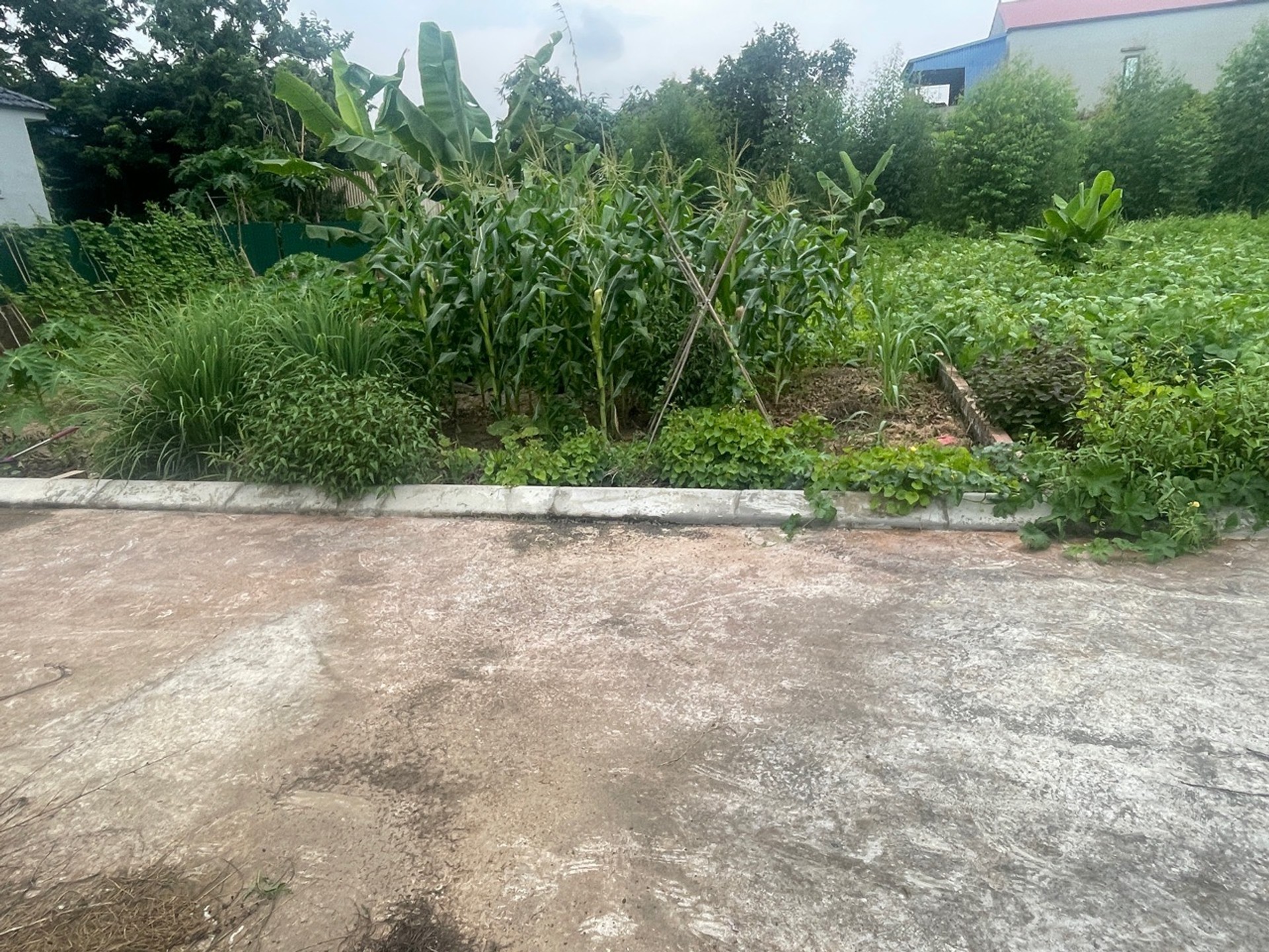 Đất nền tiện ích đầy đủ tại Ngõ Hòa Bình, Kim Anh
