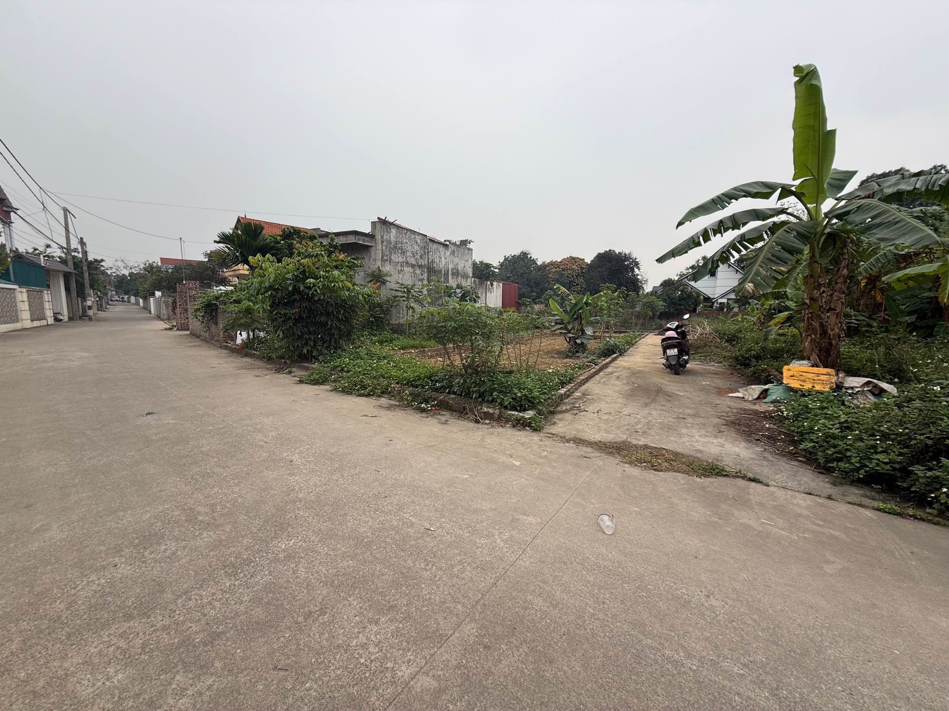 Đất đẹp Lập Trí Sóc Sơn - Ô tô vào nhà, đầu tư sinh lời