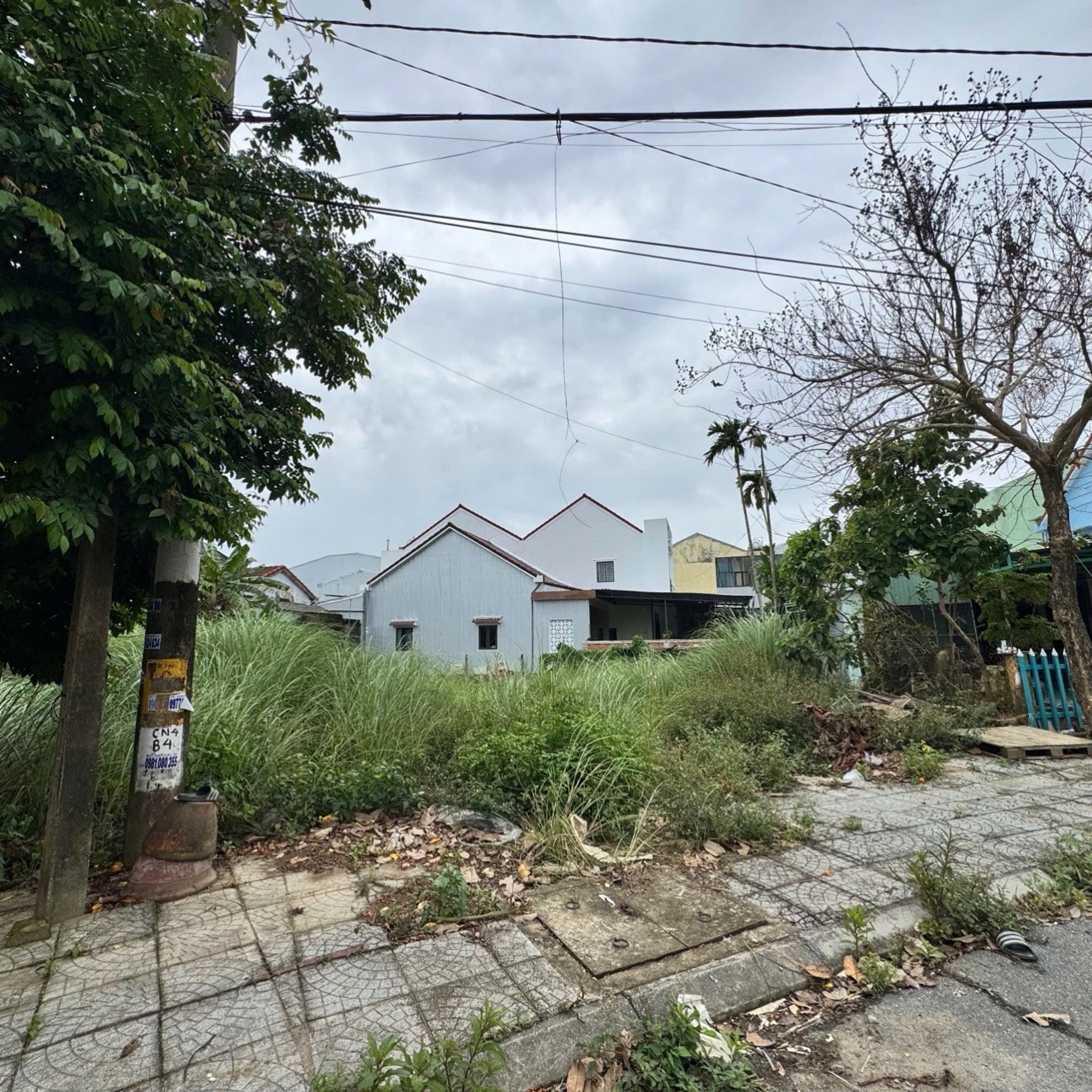 Giảm Sâu Đất Nguyễn Tri Phương – Tiềm Năng Sinh Lời Cao