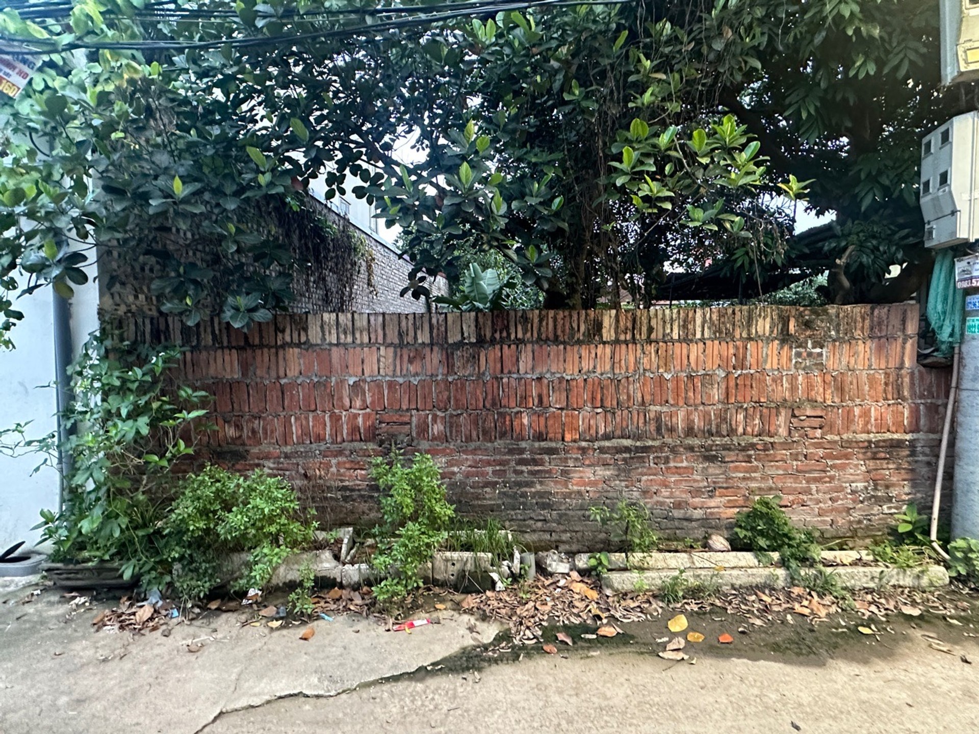 Bán đất mặt ngõ ô tô tại Dương Quang, diện tích 80m2, mặt tiền 5m,Gần Cbowj,Trường Học.