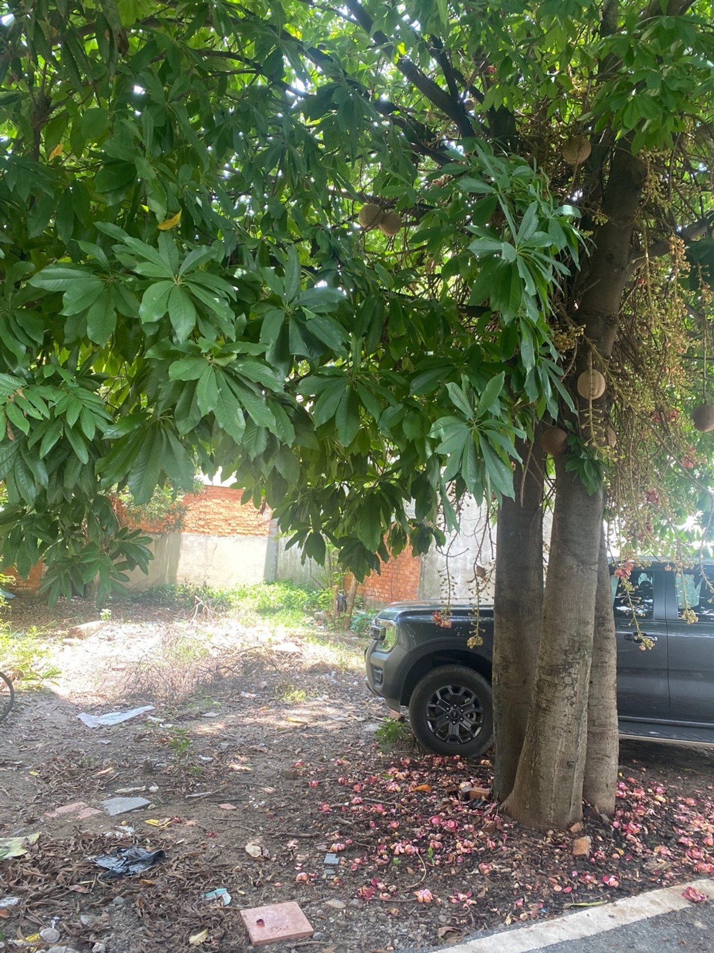🔥 16 TỶ – QUỸ ĐẤT HƠN 1.000M² – SÁT DƯƠNG CÔNG KHI, HÓC MÔN 🔥