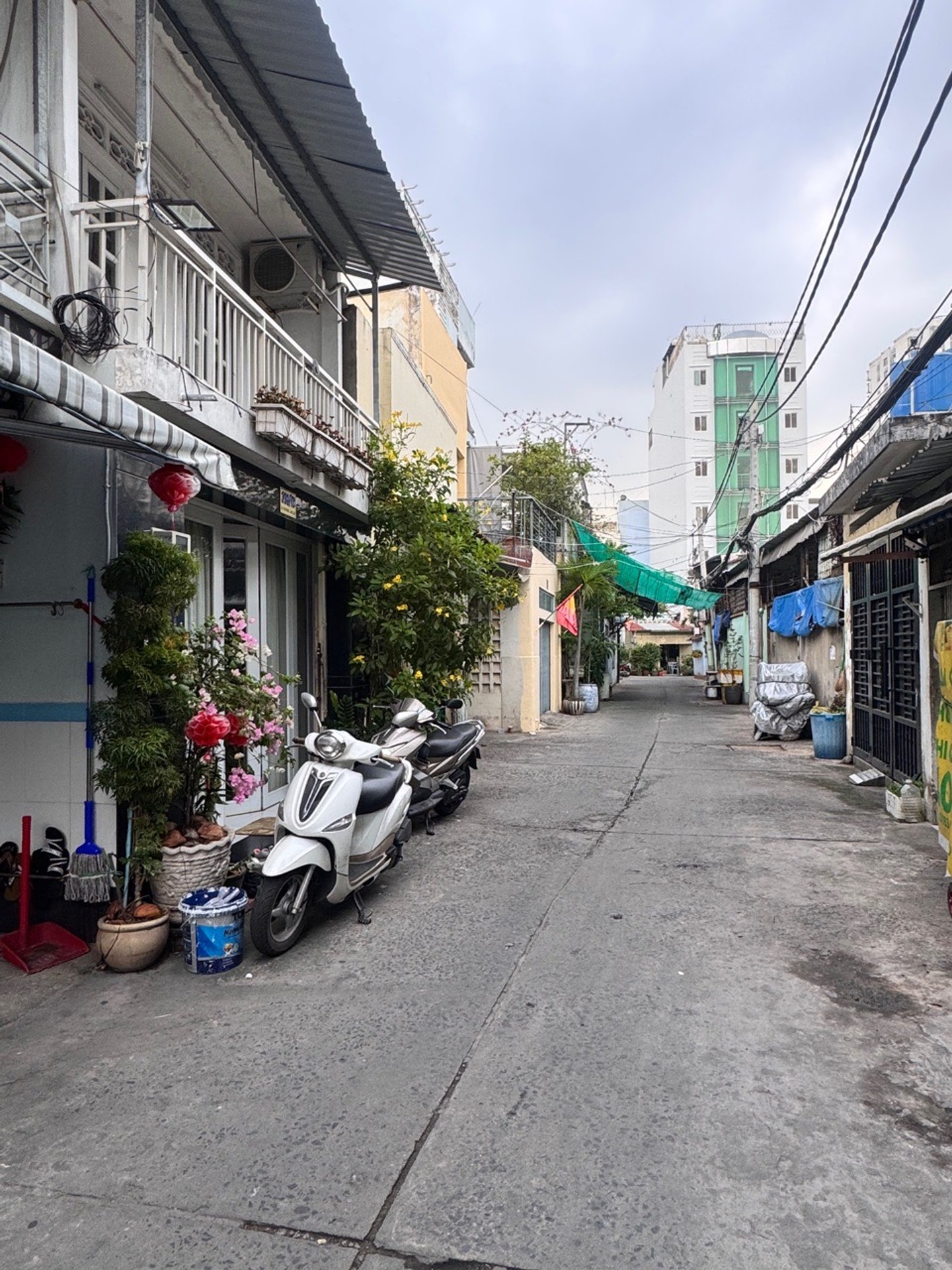 Cơ hội vàng sở hữu lô đất duy nhất tại Phường 3 Quận 8 giá tốt