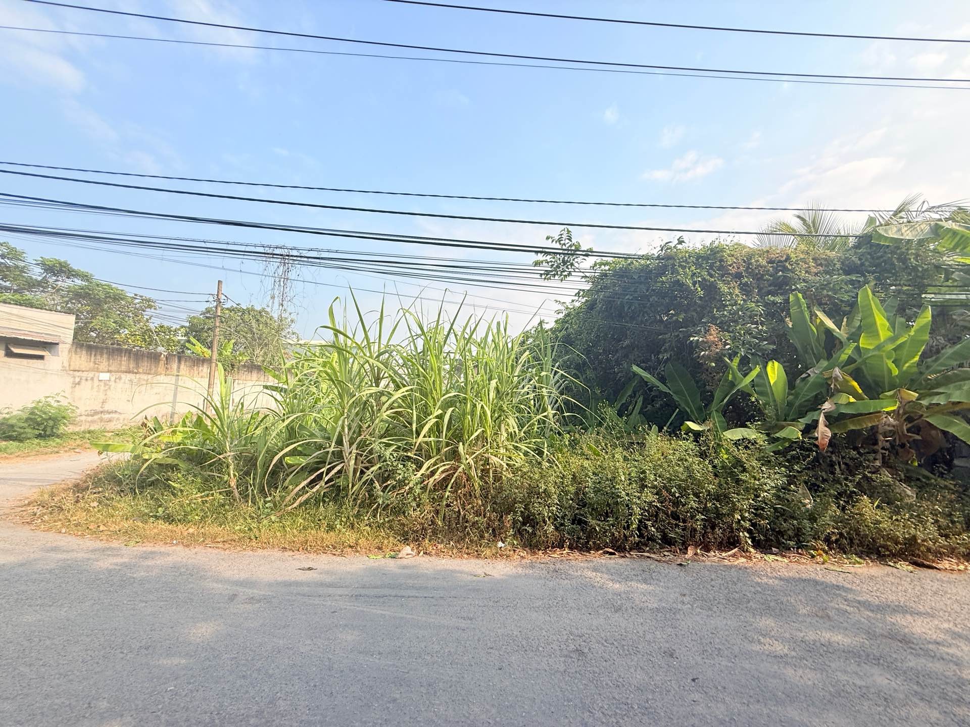 Bán đất mặt tiền đường Nguyễn Thị Da, xã Bình Mỹ, Hóc Môn, diện tích 393m2, pháp lý rõ ràng