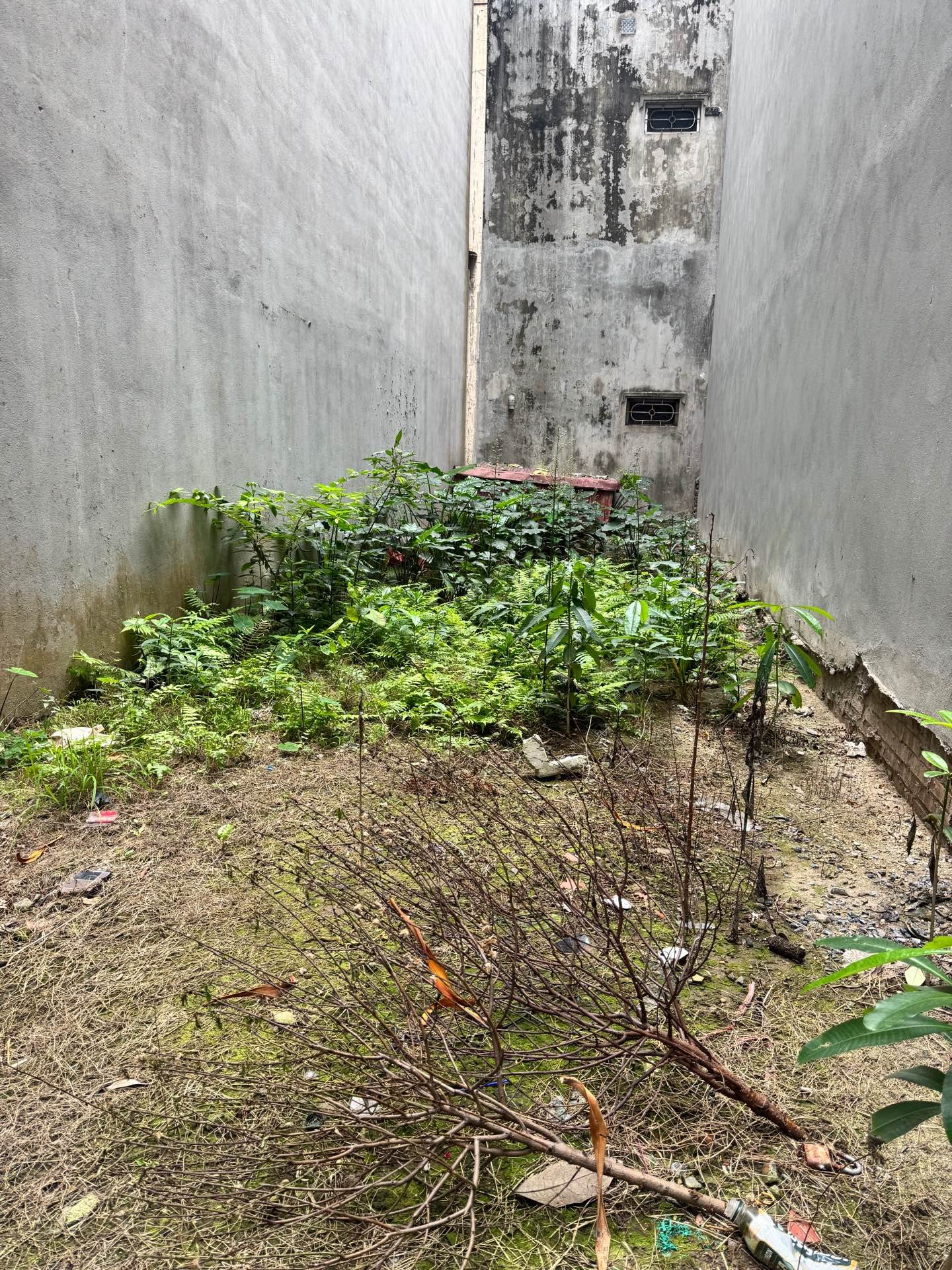 MẢNH ĐẤT VÀNG TÂY HỒ