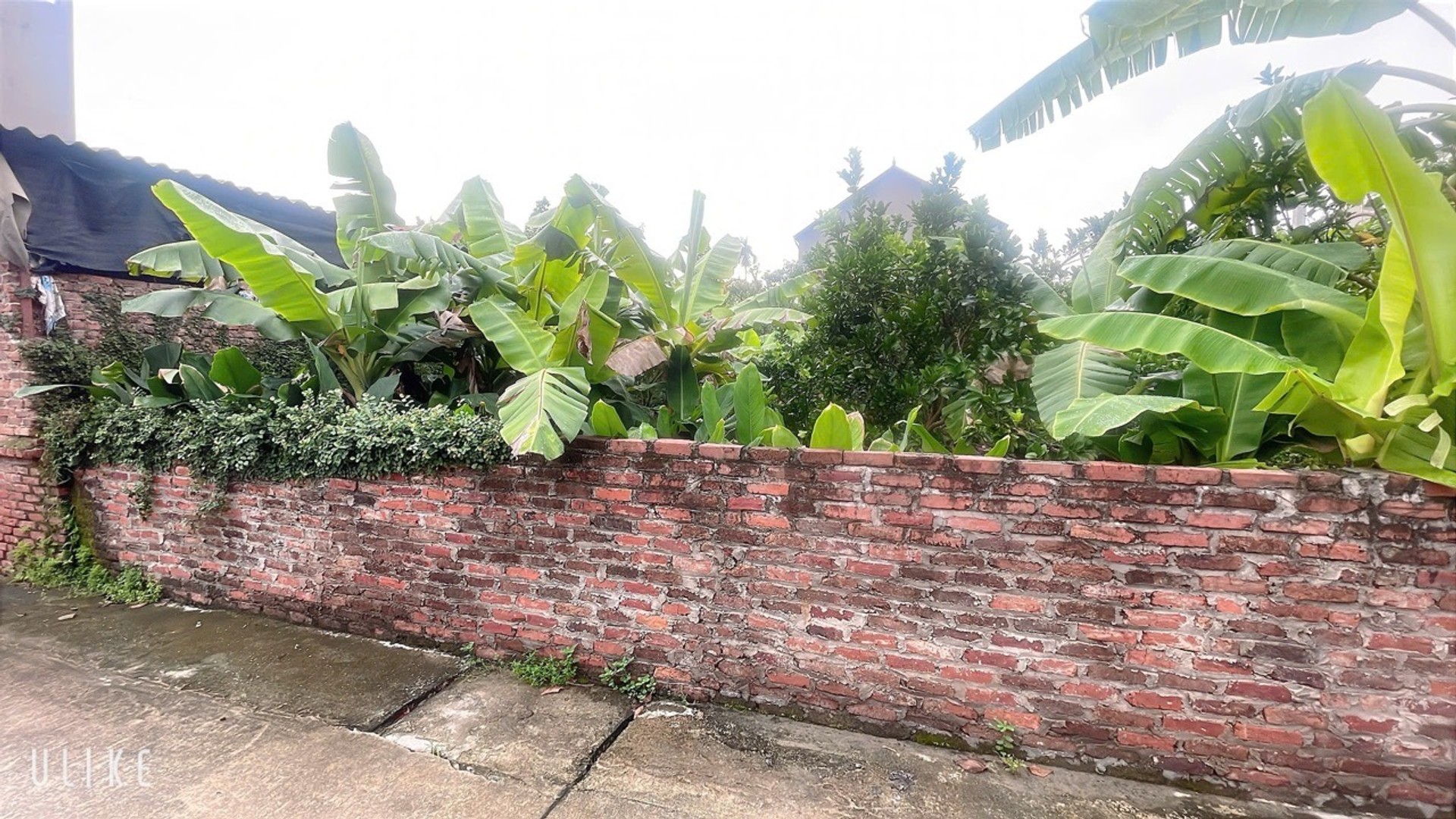 Đất phân lô hiếm tại Yên Tàng - Đa Phúc, sổ đỏ mới, phân chia linh hoạt, giá cực tốt.