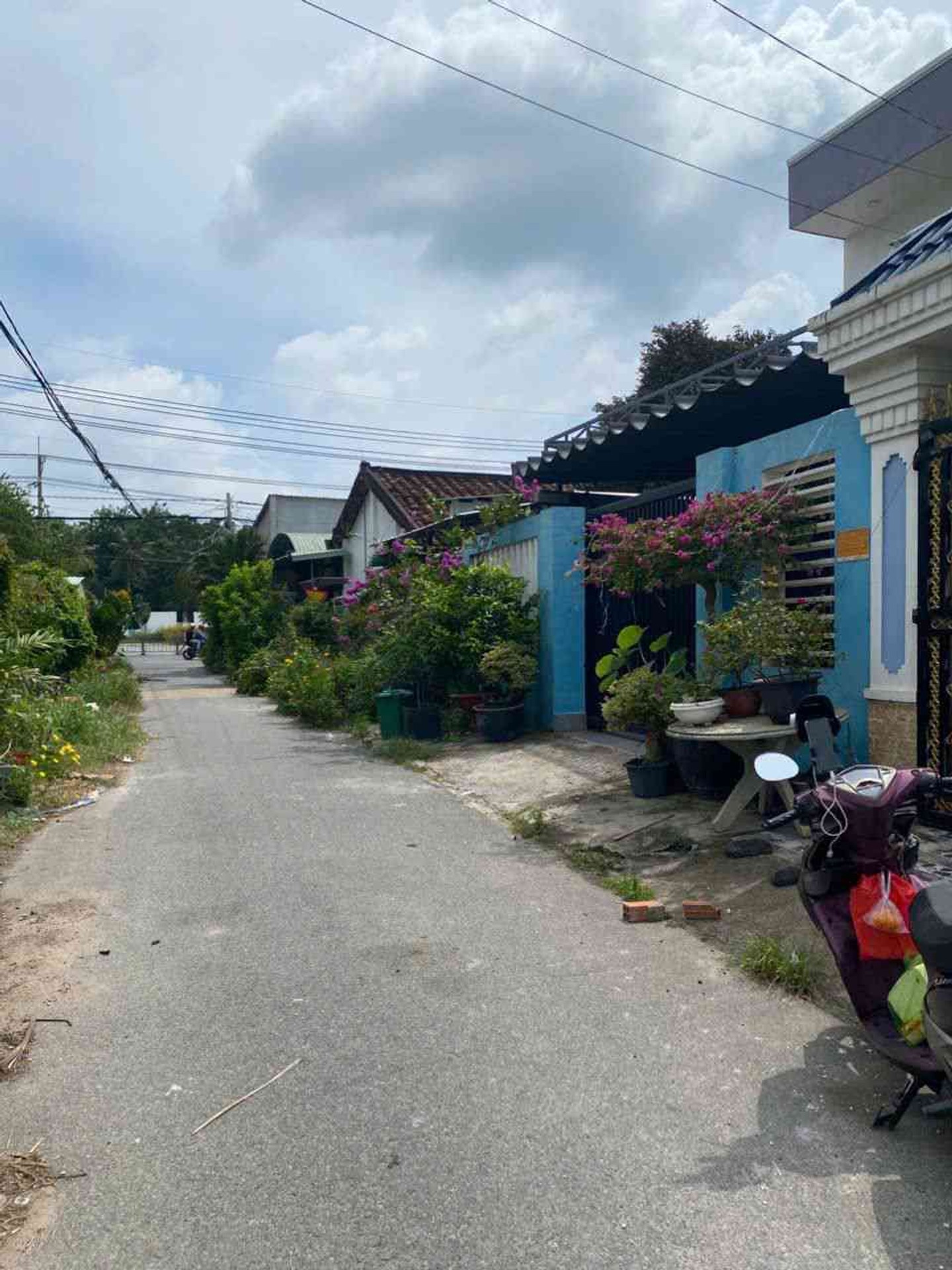 Cơ Hội Sở Hữu Đất 344.5m² ,200m² thổ cư Tỉnh Lộ 8 Củ Chi - Giá Hấp Dẫn 3.2 tỷ đồng