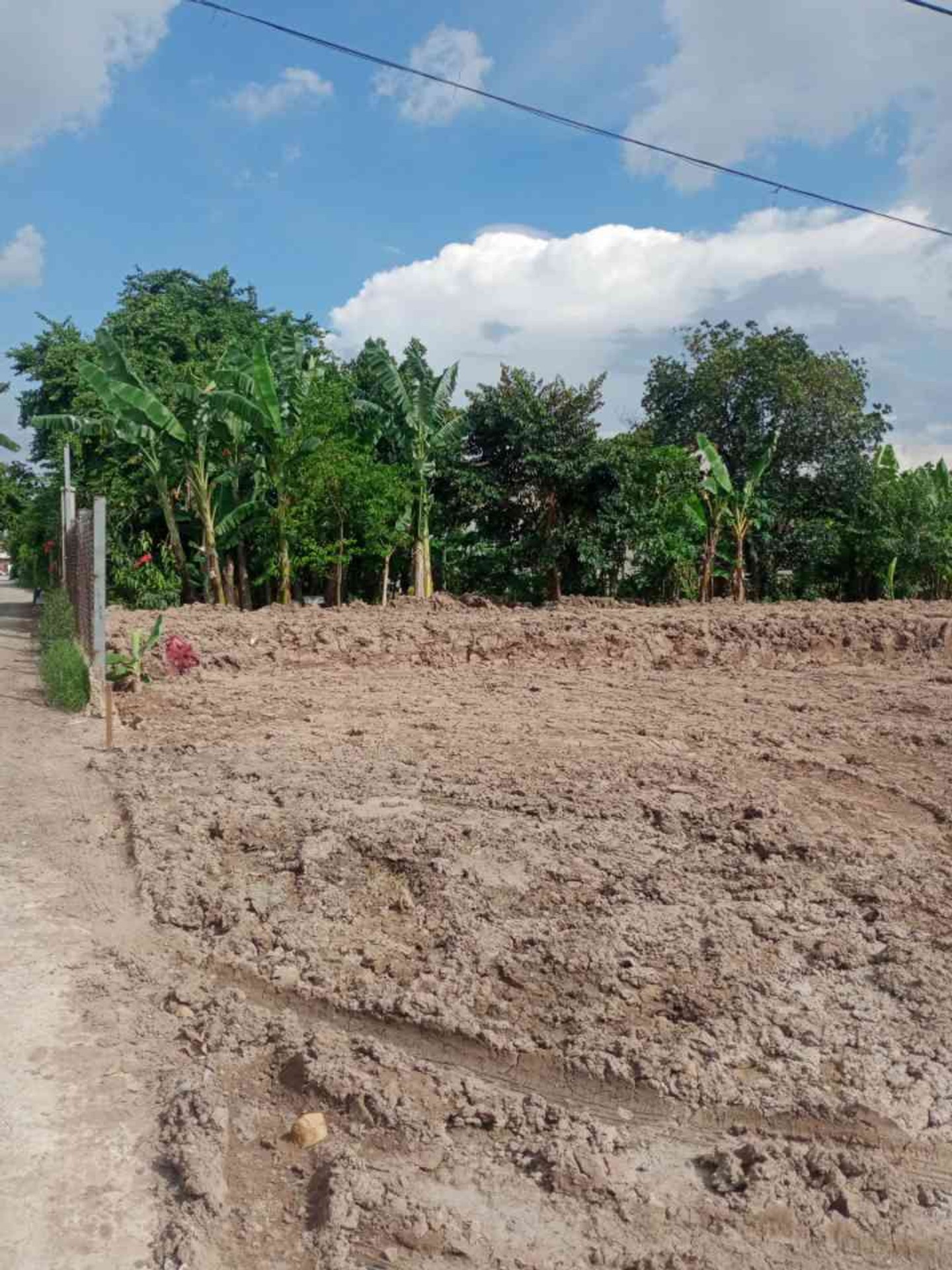 Đất đẹp sổ hồng riêng tại Bà Điểm, Hóc Môn – Hành trình an cư lý tưởng
