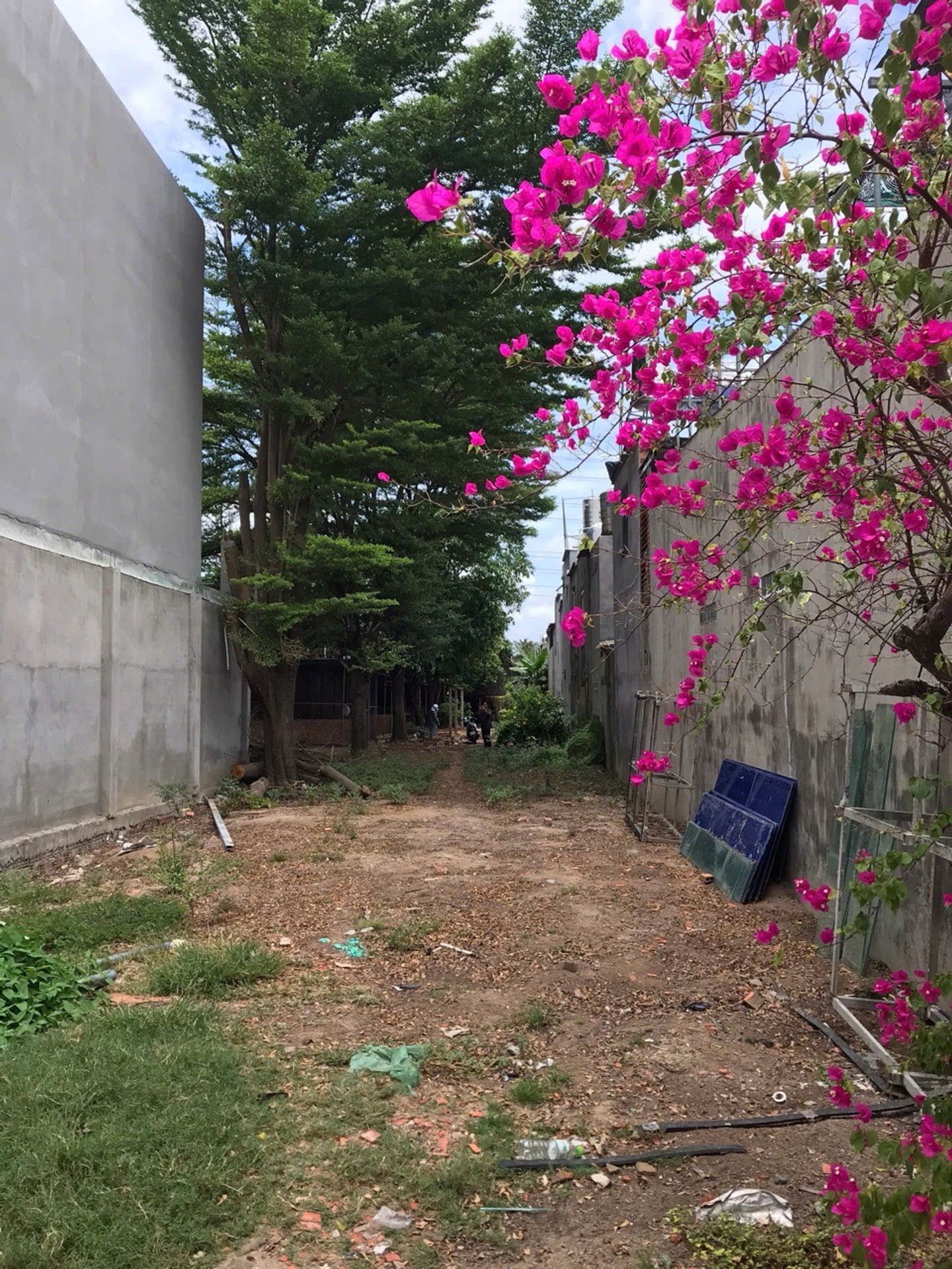 🔥 QUỸ ĐẤT 939,5M² – ĐÔNG THẠNH – CÓ 105M² ĐẤT Ở LÂU DÀI - 9,5 TY🔥