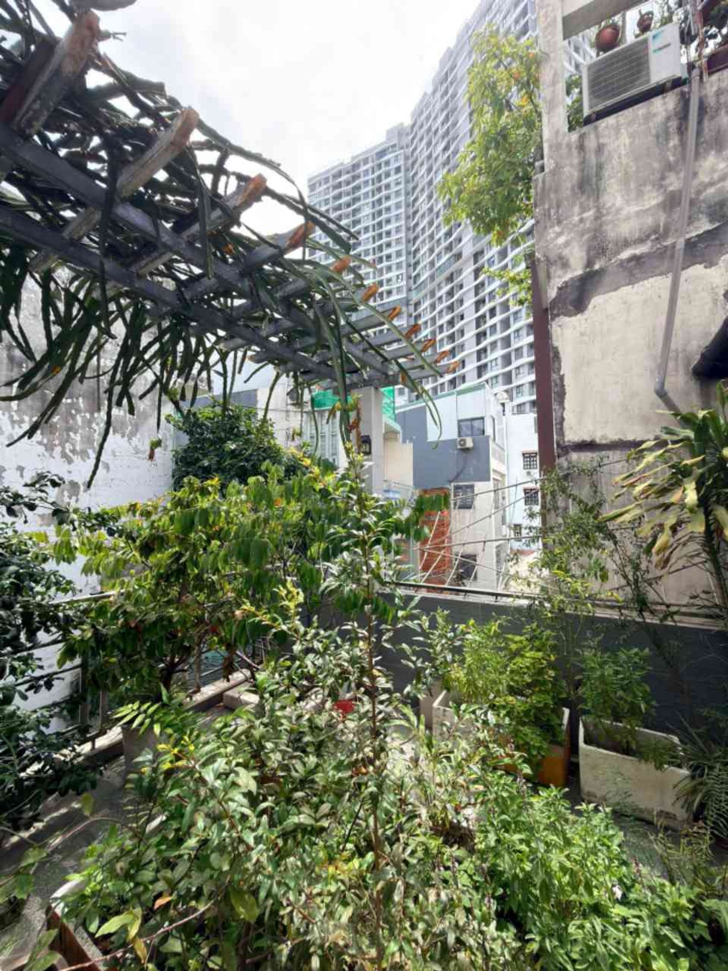 Bán nhà Minh Phụng 4 tầng, rộng 63m², giá hấp dẫn đáng sở hữu ngay