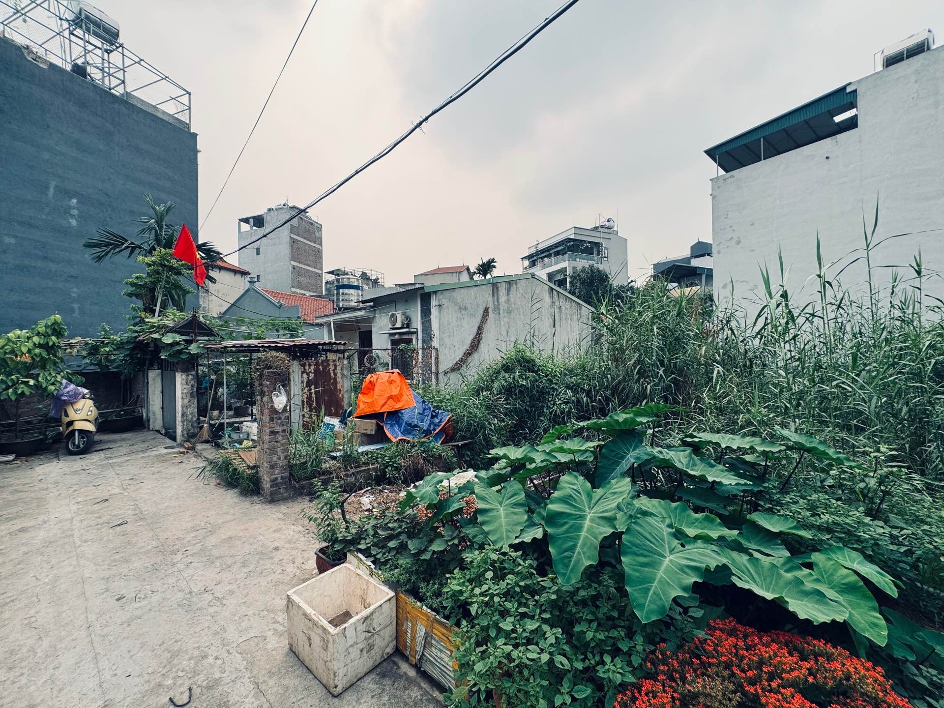 Bán đất mặt tiền rộng, vị trí tiềm năng tại Đại Cát