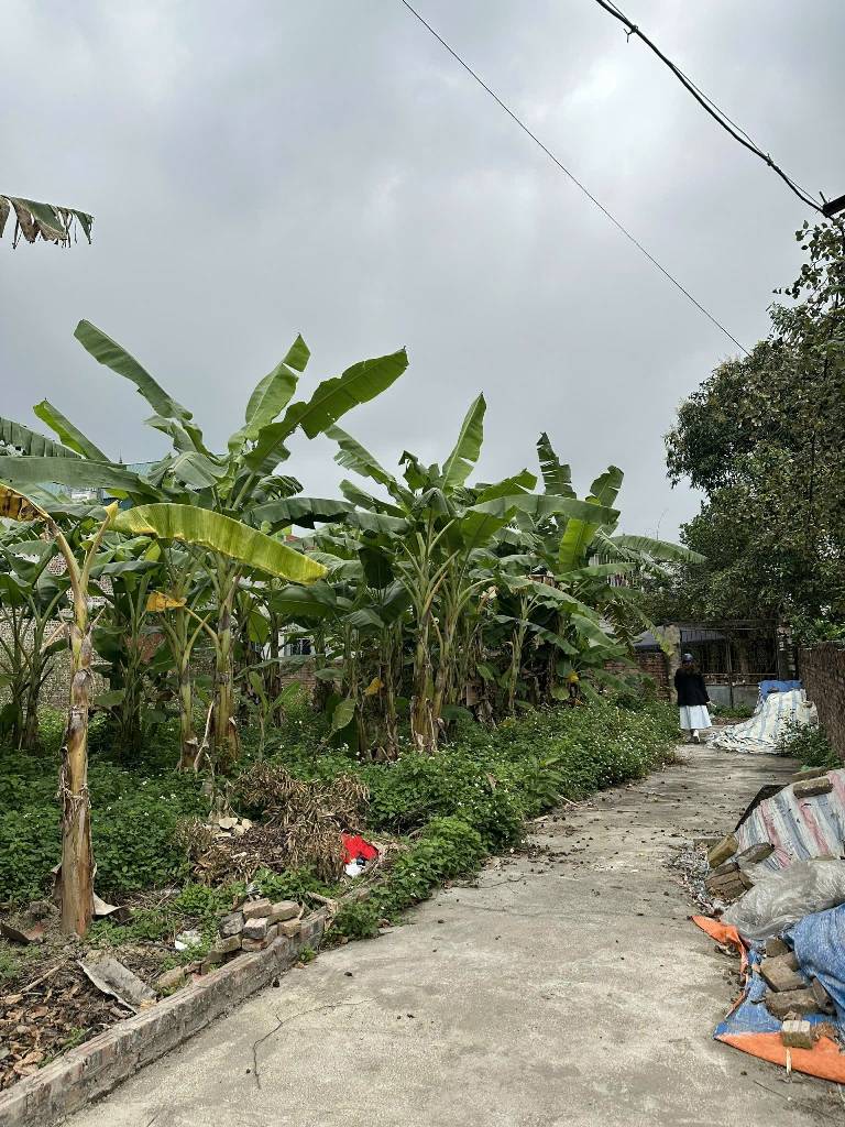 Bán đất 46m² hướng Đông Nam tại xã Quang Tiến, ô tô vào, pháp lý cơ sở